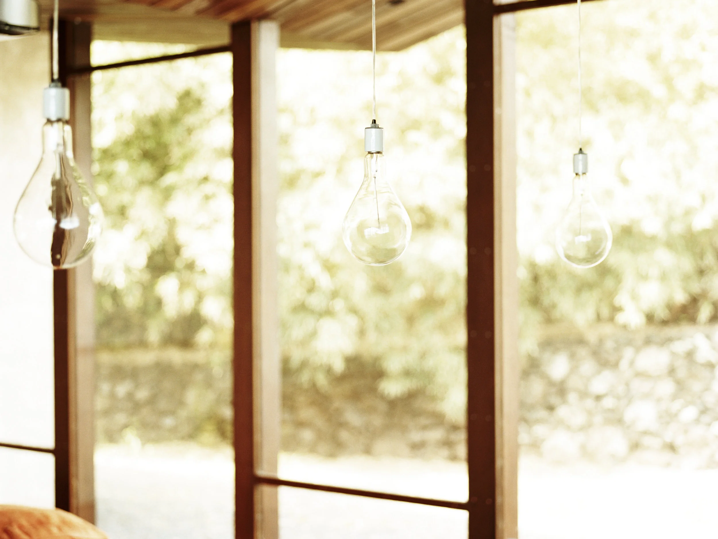 13_lightbulb.jpg