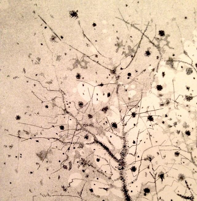 A detail from my first ever etching. I&rsquo;t called the tree of life. Working out all the marks was big fun. .
.
.
.
#treeoflife #etching #artsy #contrmporaryart #printmaking #consciousart #naturallaws #artistsoninstagram #art