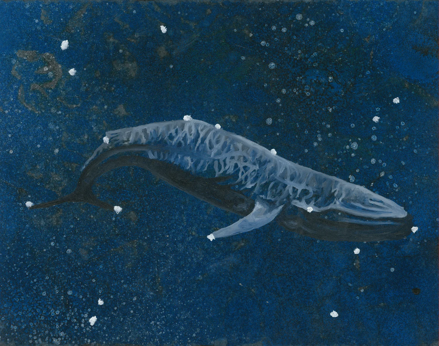 Blue Whale - Spray Paint and Oils on Board - Available
