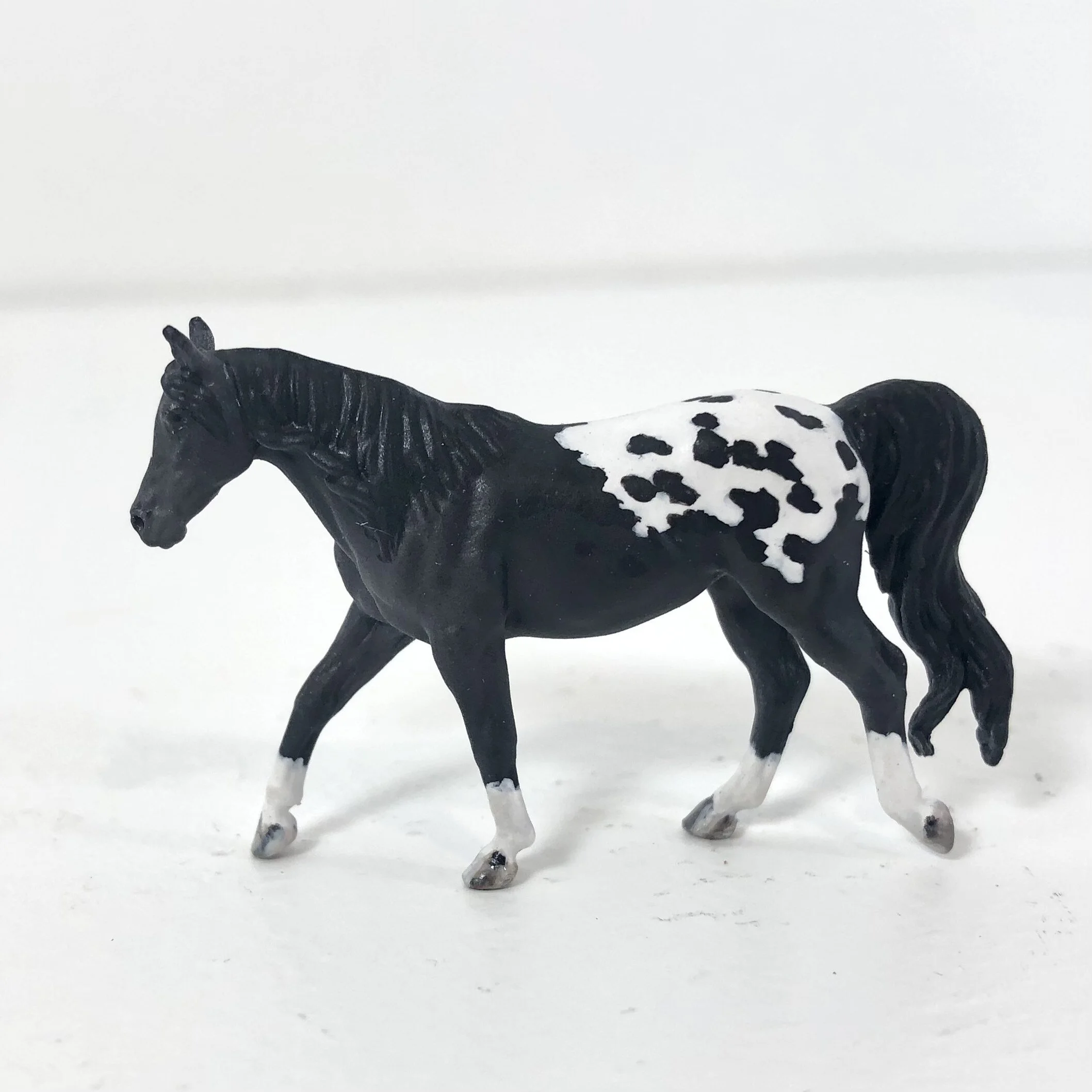 Maggie Bennet Micro Arabian to Arappaloosa