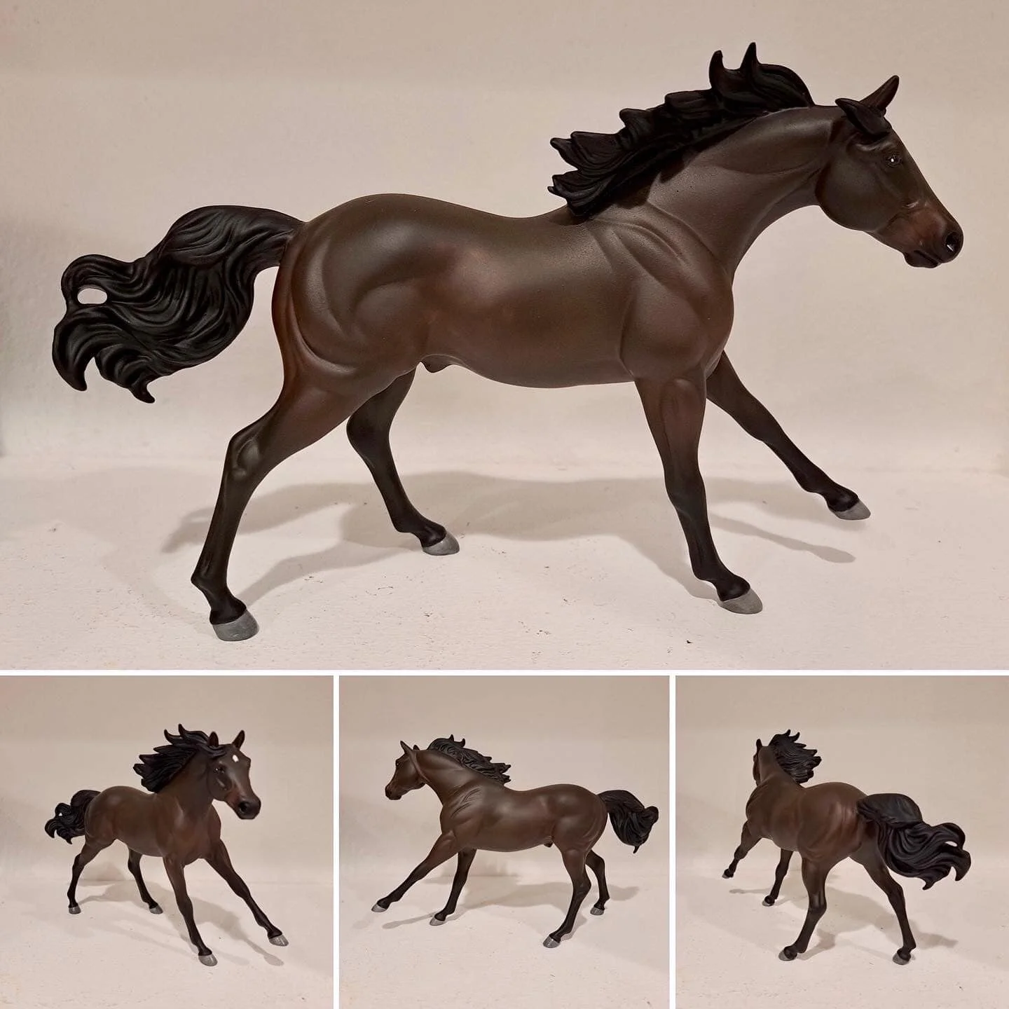 Classic Horse Portrait