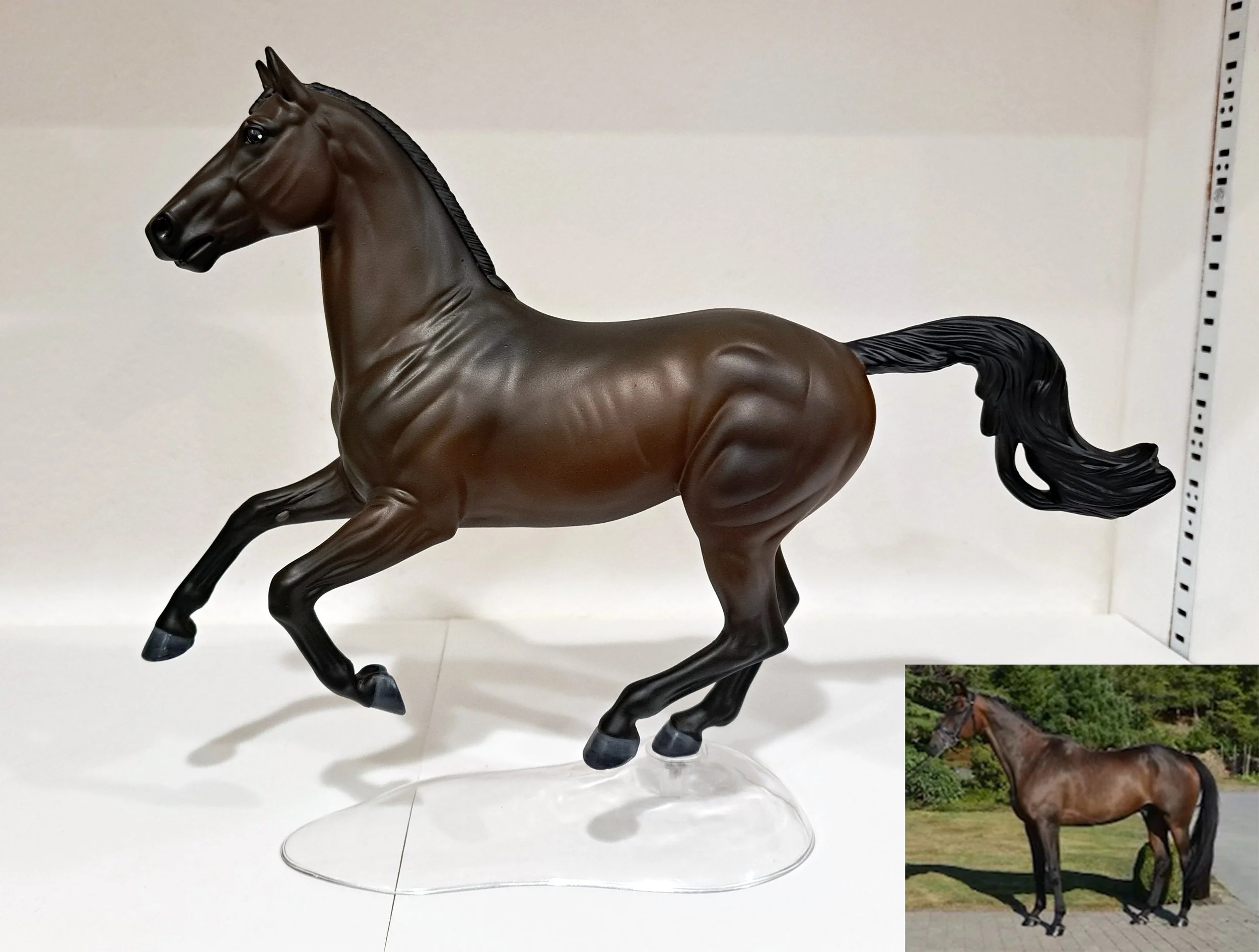 Traditional Breyer Portrait Model
