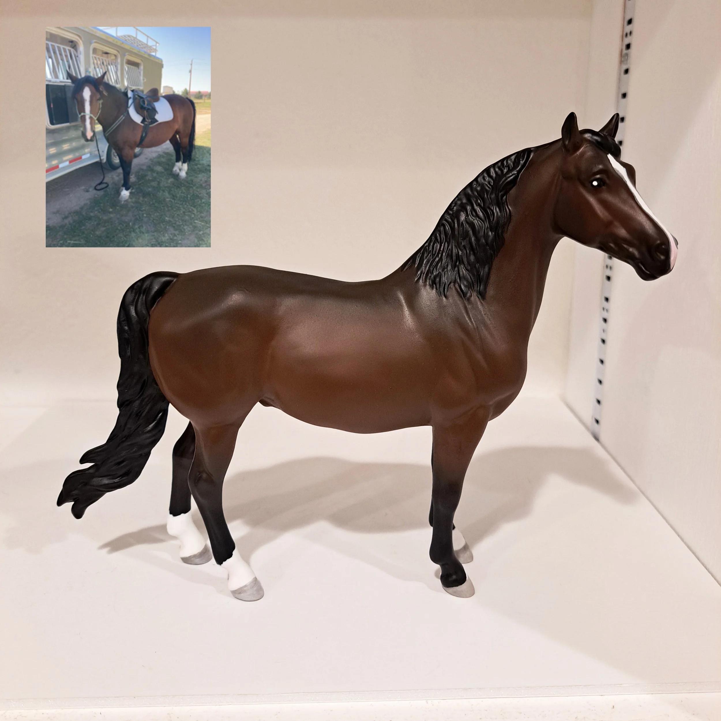 Classic Breyer Portrait Model