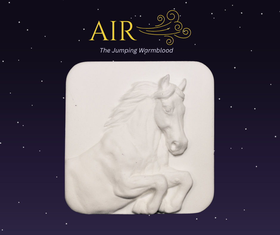 Elemental Medallions (1).png