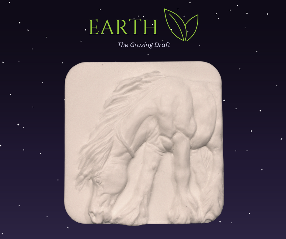 Elemental Medallions (4).png