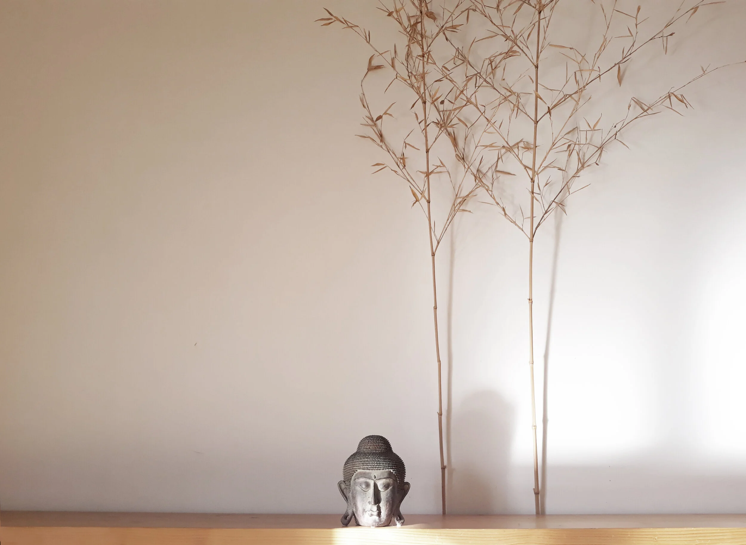 20191107_145739 (1).jpg