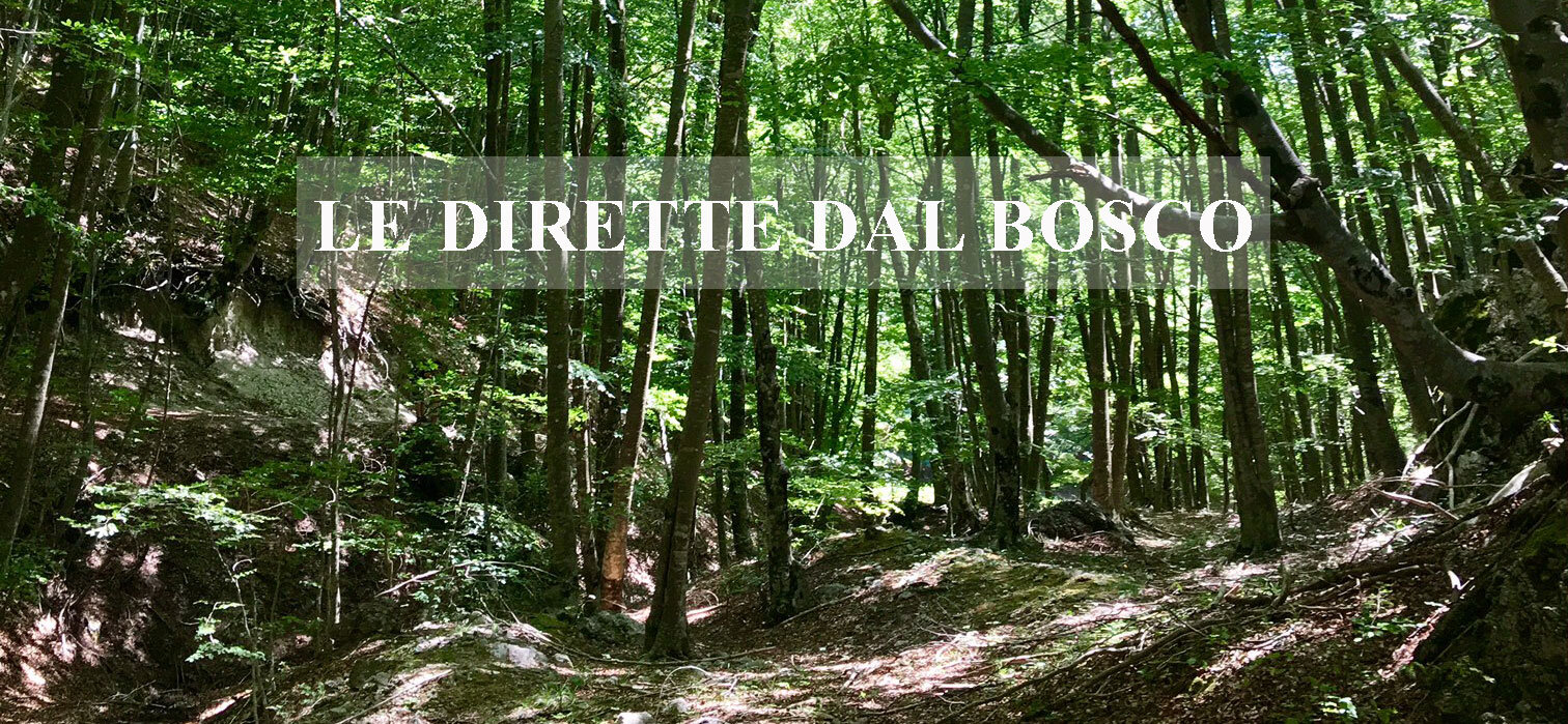 Il respiro è molto di più