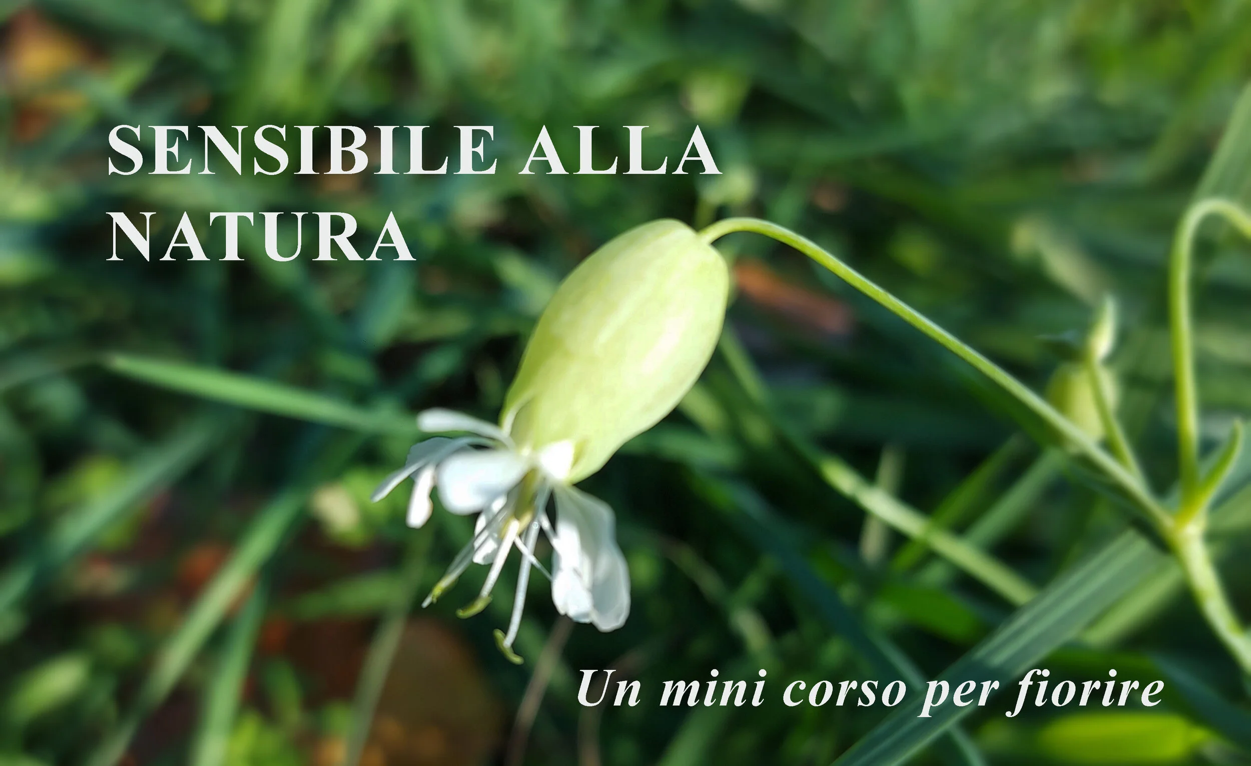 sensibile alla natura-01.jpg