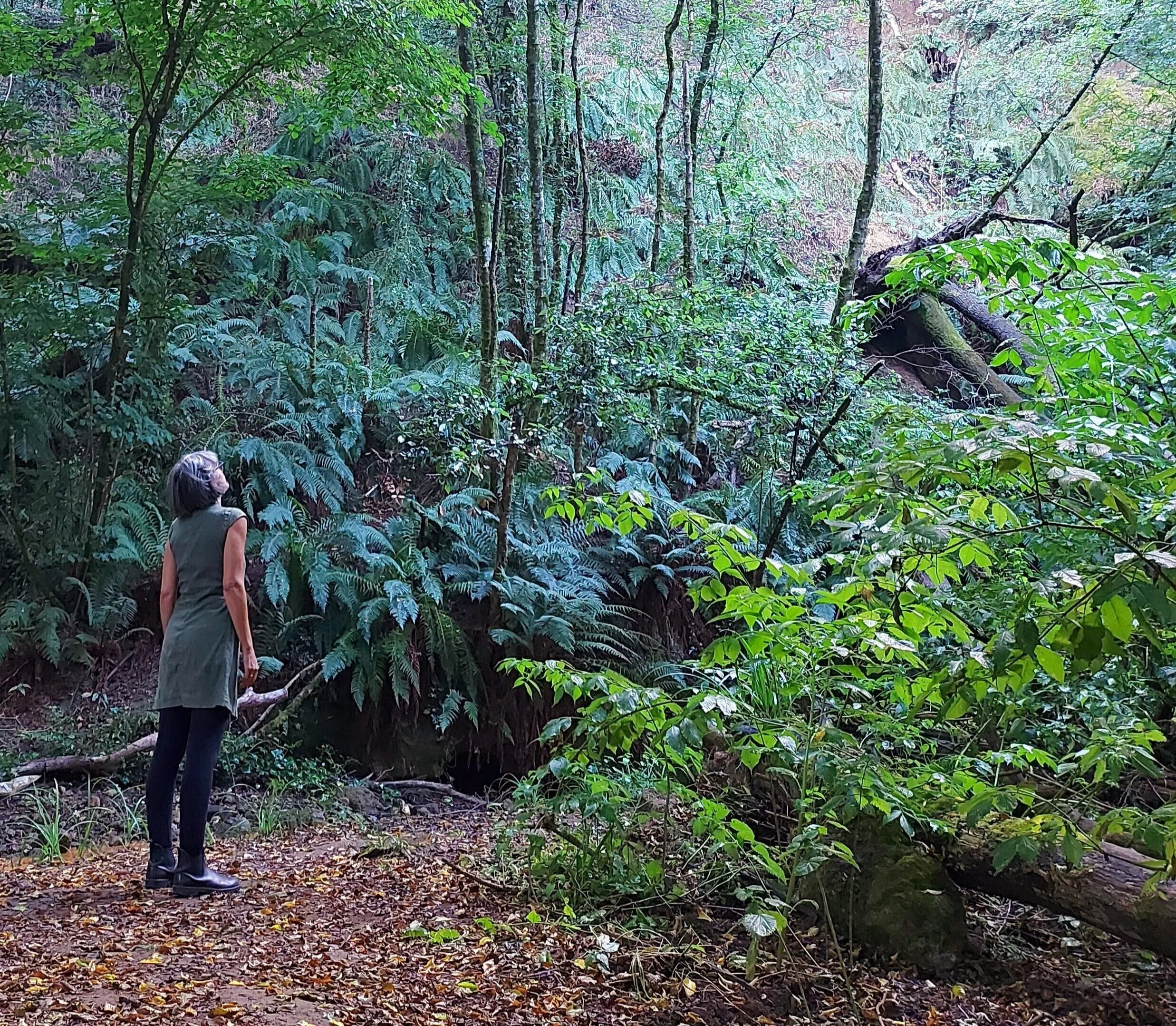 Un luogo dove rifugiarti
