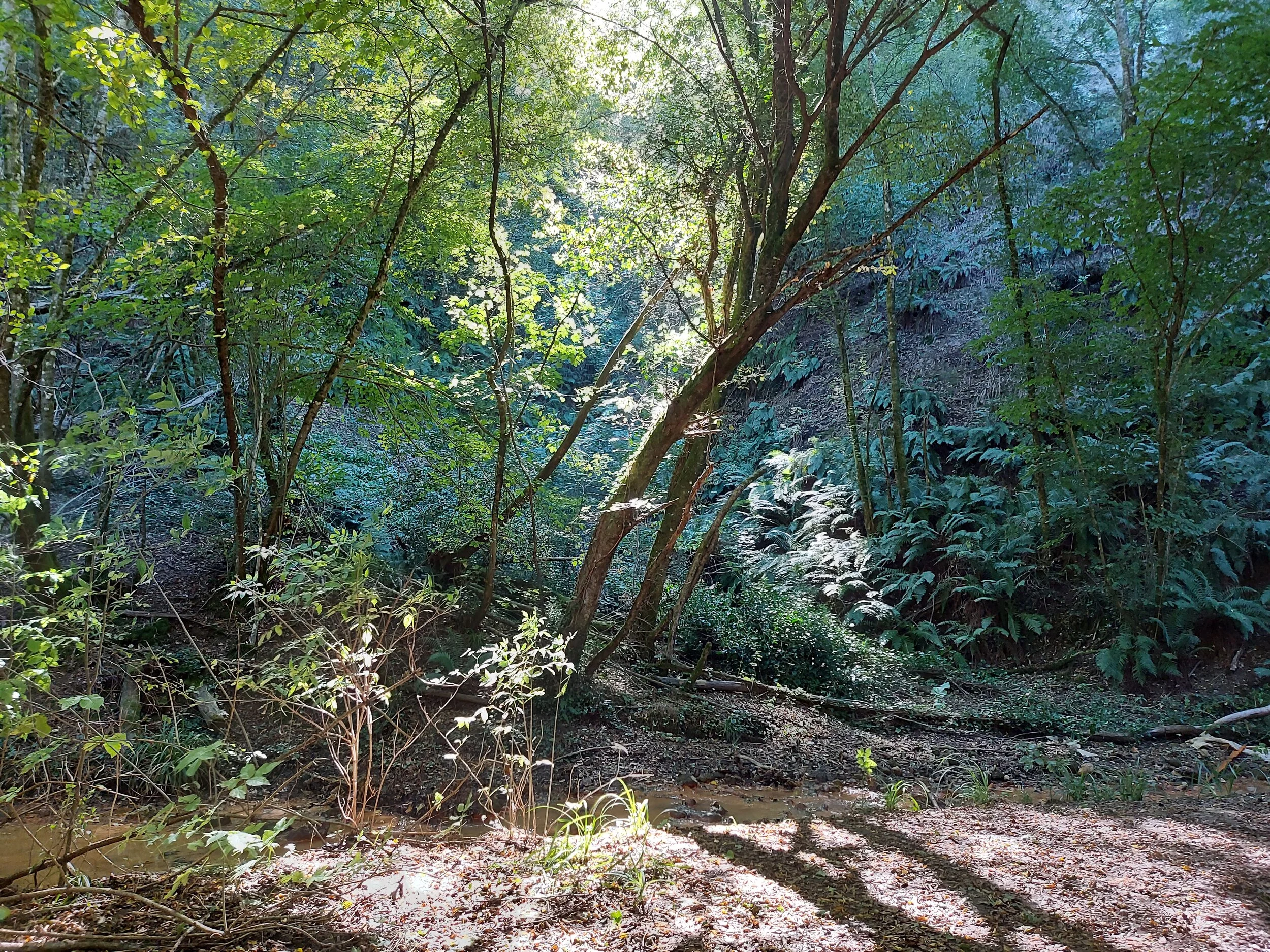 Rigenerare la forza vitale 