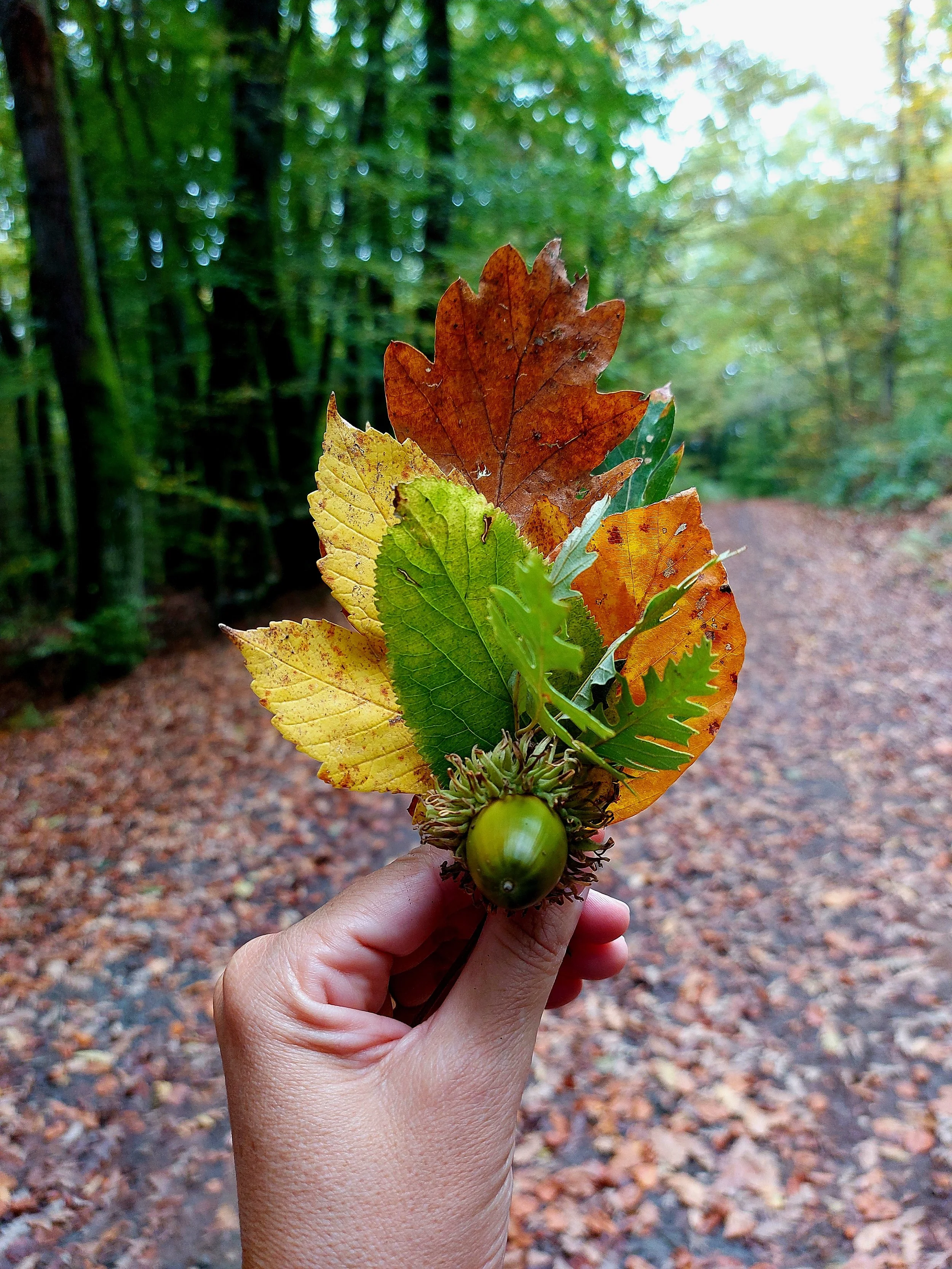 I colori della transizione