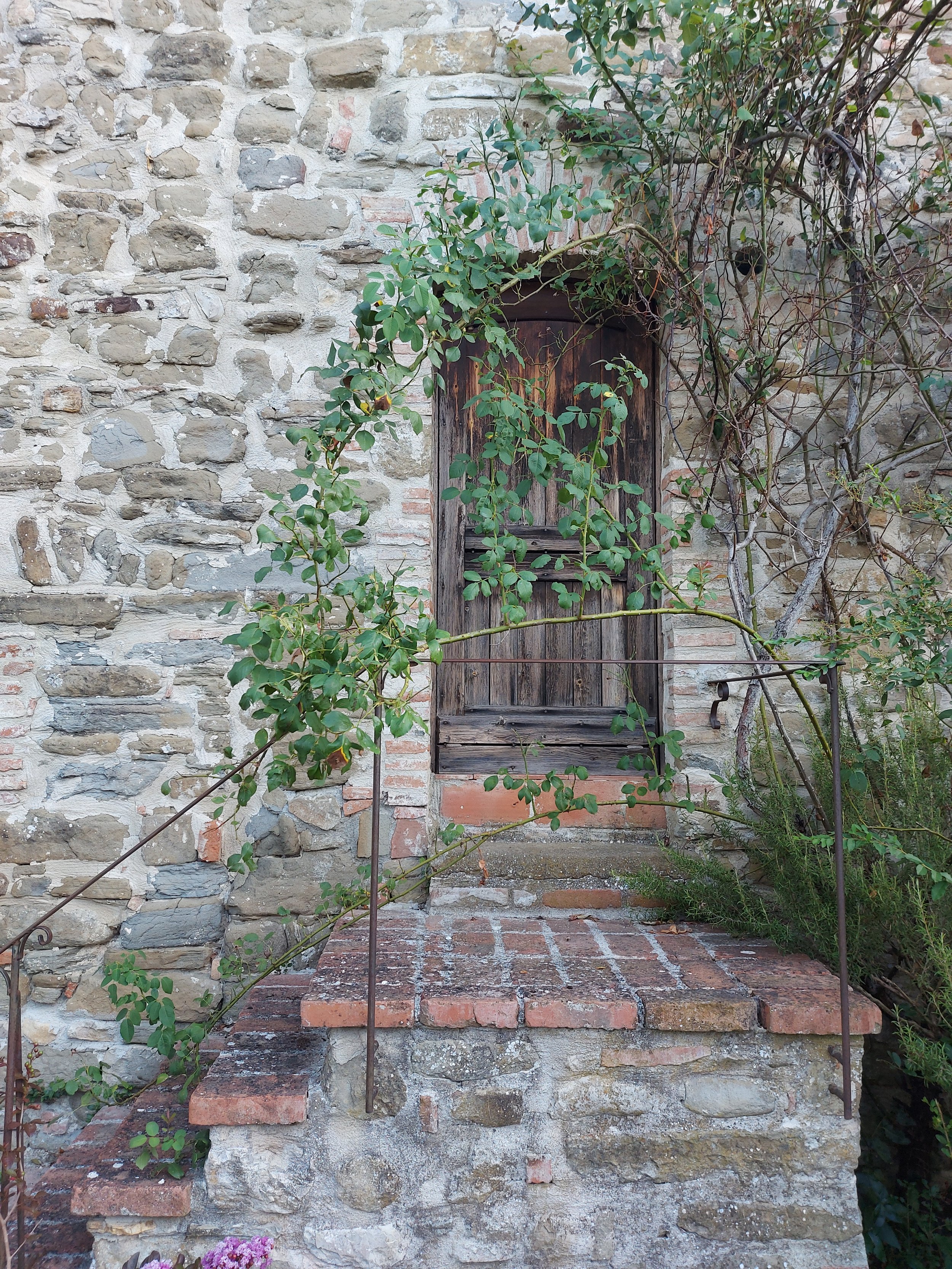 Il richiamo del nido