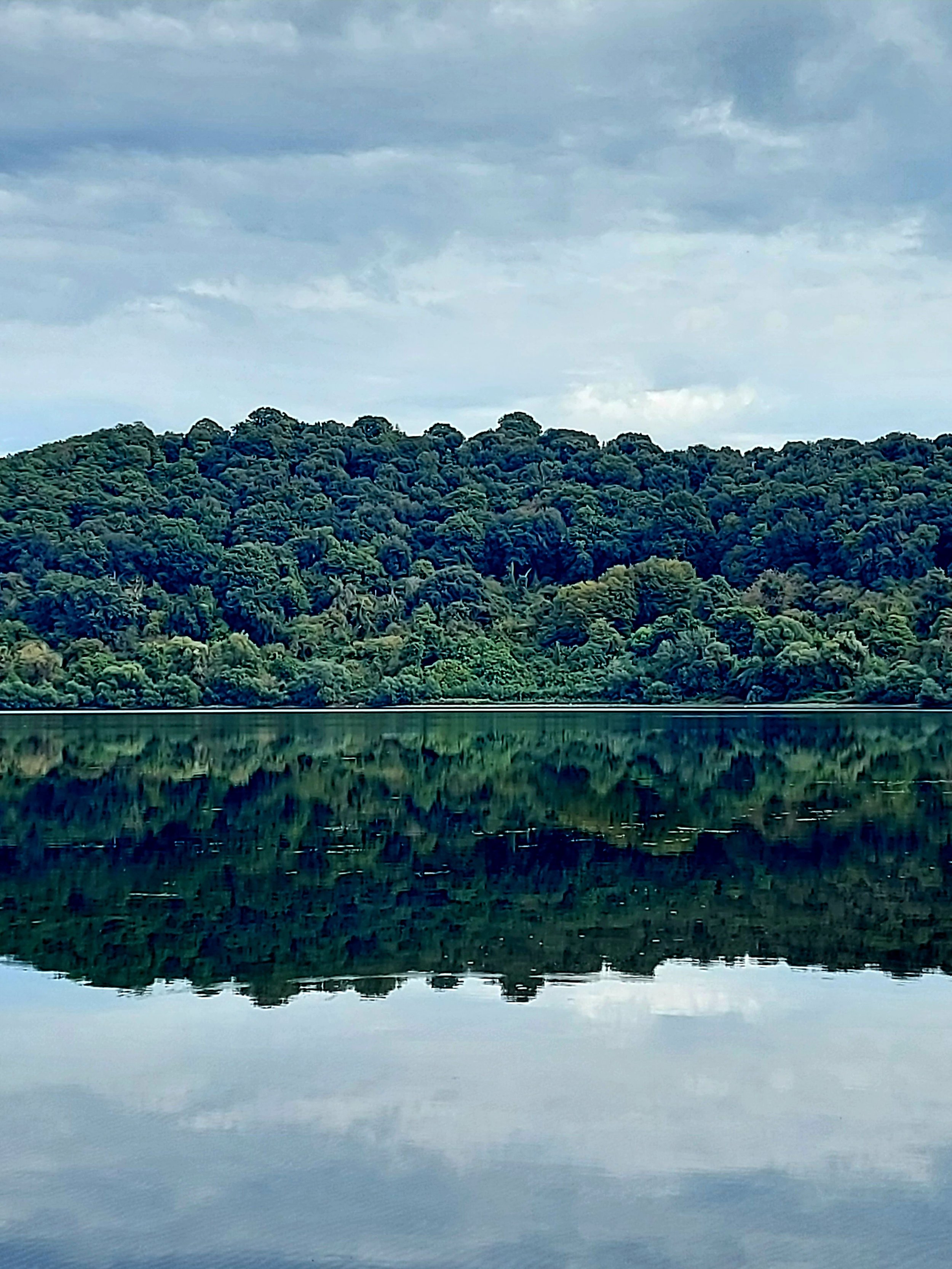 Tu sei la promessa della primavera