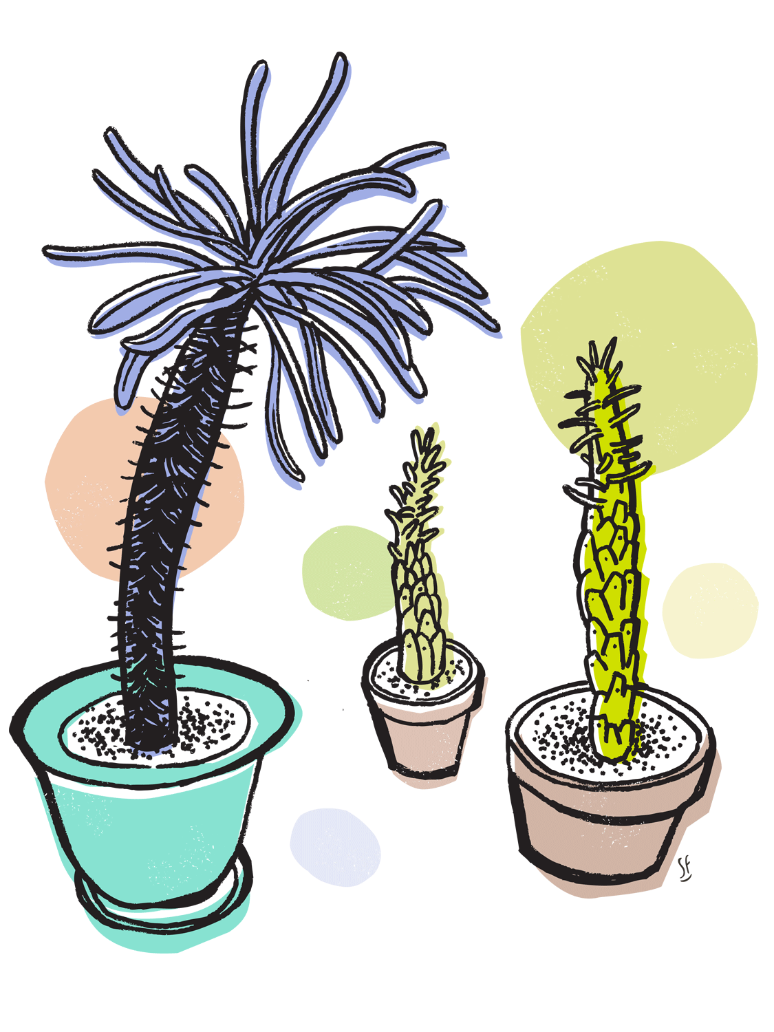plant_final.gif