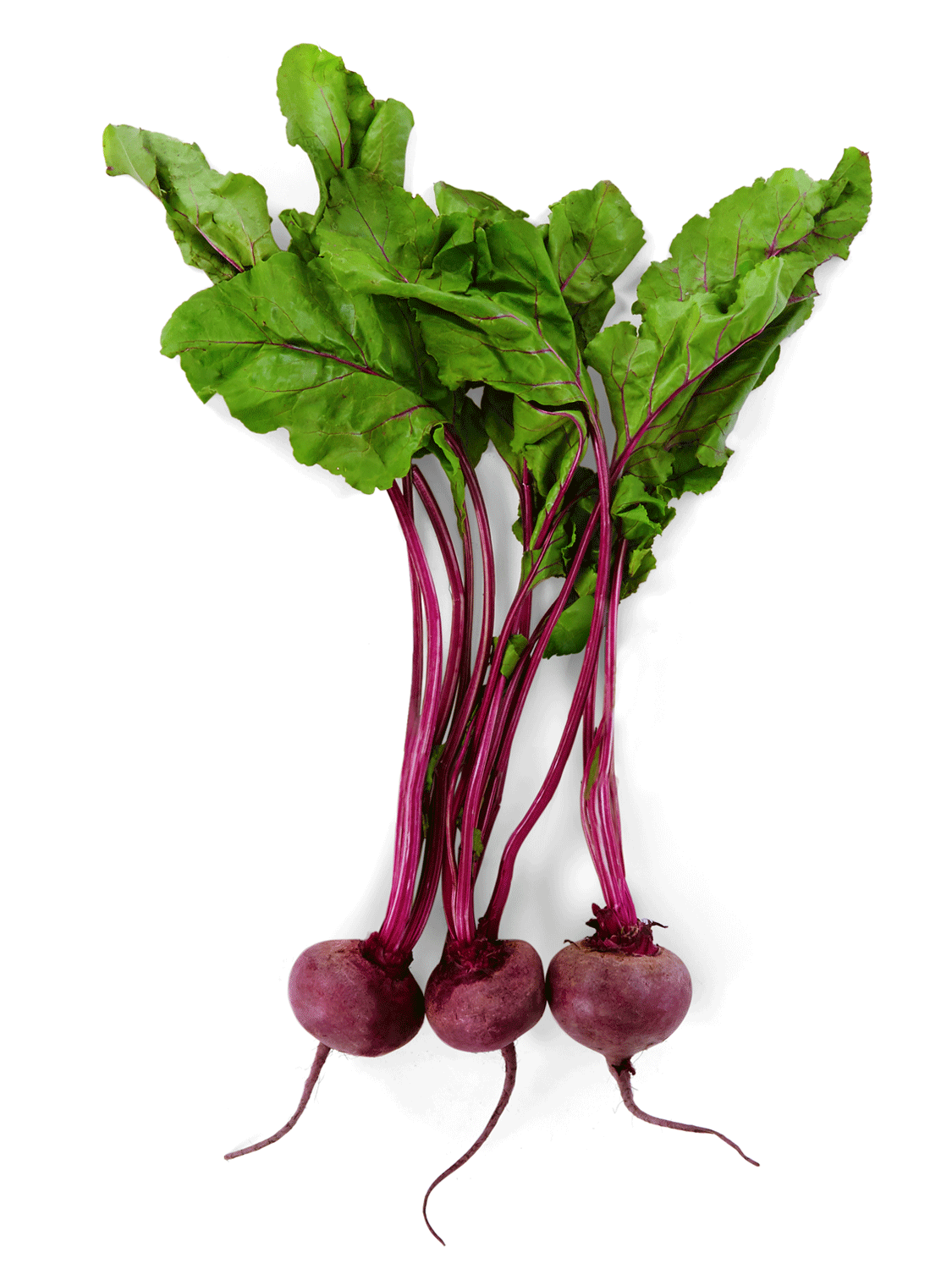 beets.gif