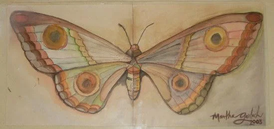 wounded butterfly.JPG