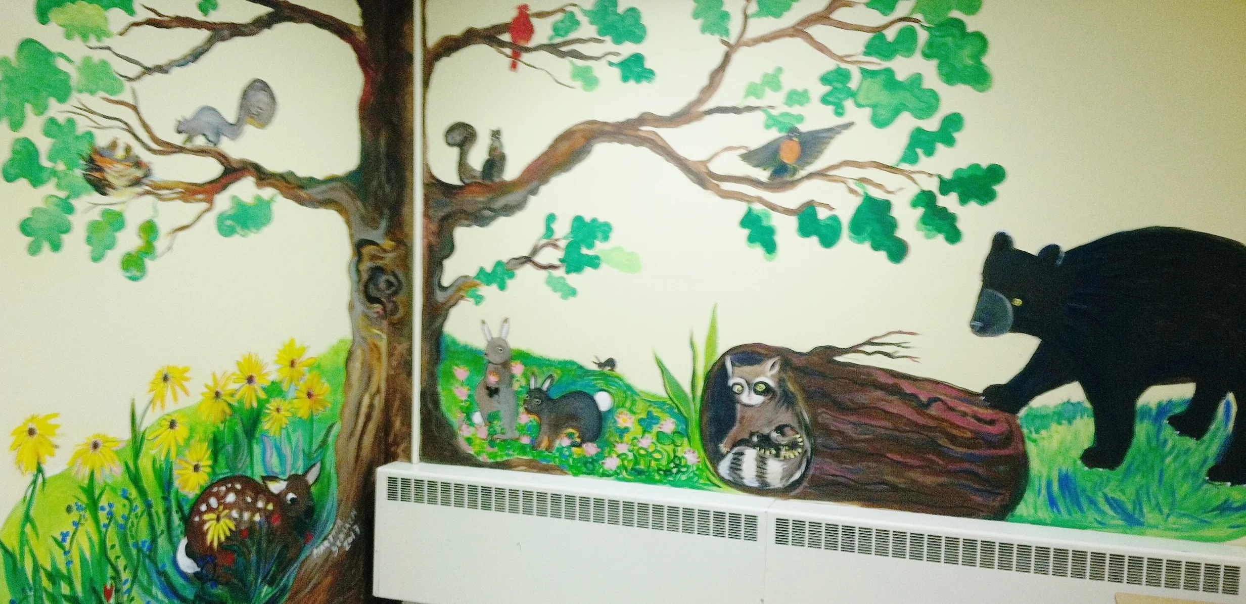 Nature Scene     