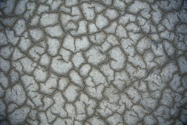 fallow ground 3.jpg