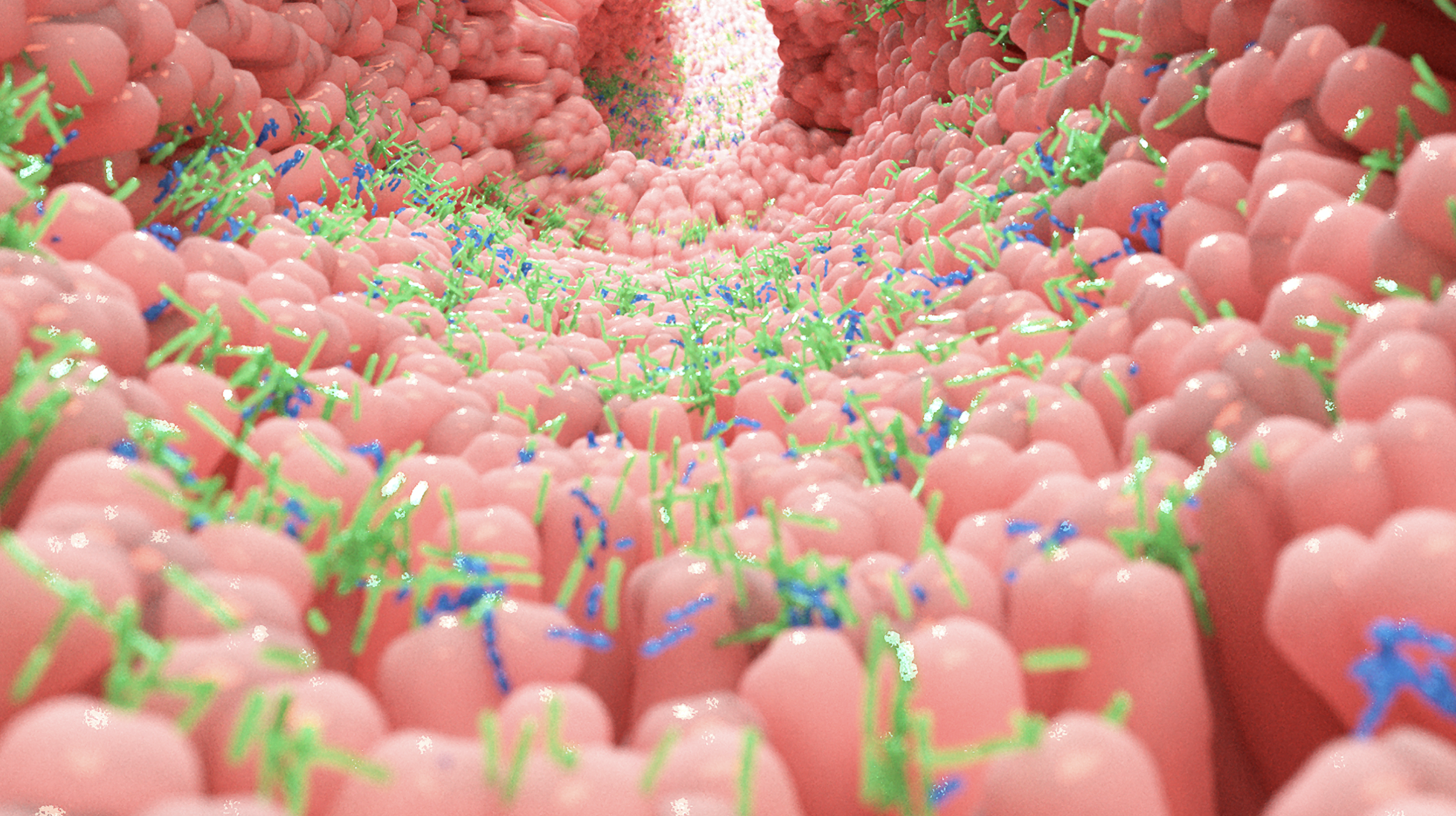 La Microbiota intestinal, nuestro segundo cerebro.
