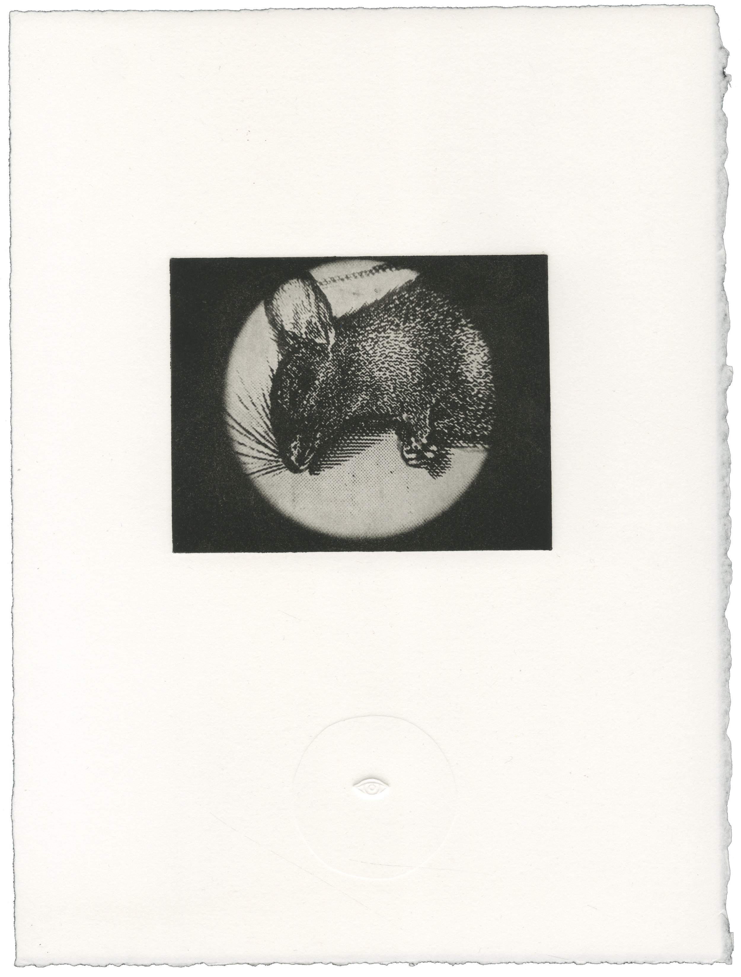   On The Floor , Polymer Intaglio with Blind Emboss, 11x14 inches, 2014 