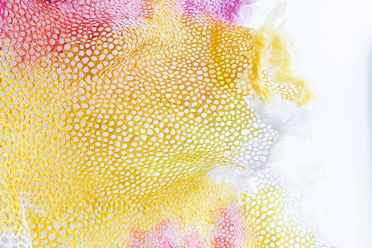 DallasKidd_Plastic Lace detail.png