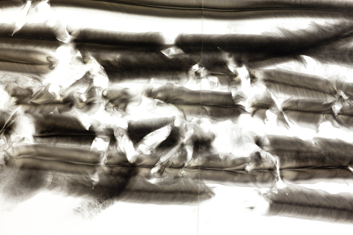landscape and smoke (bay leaves)