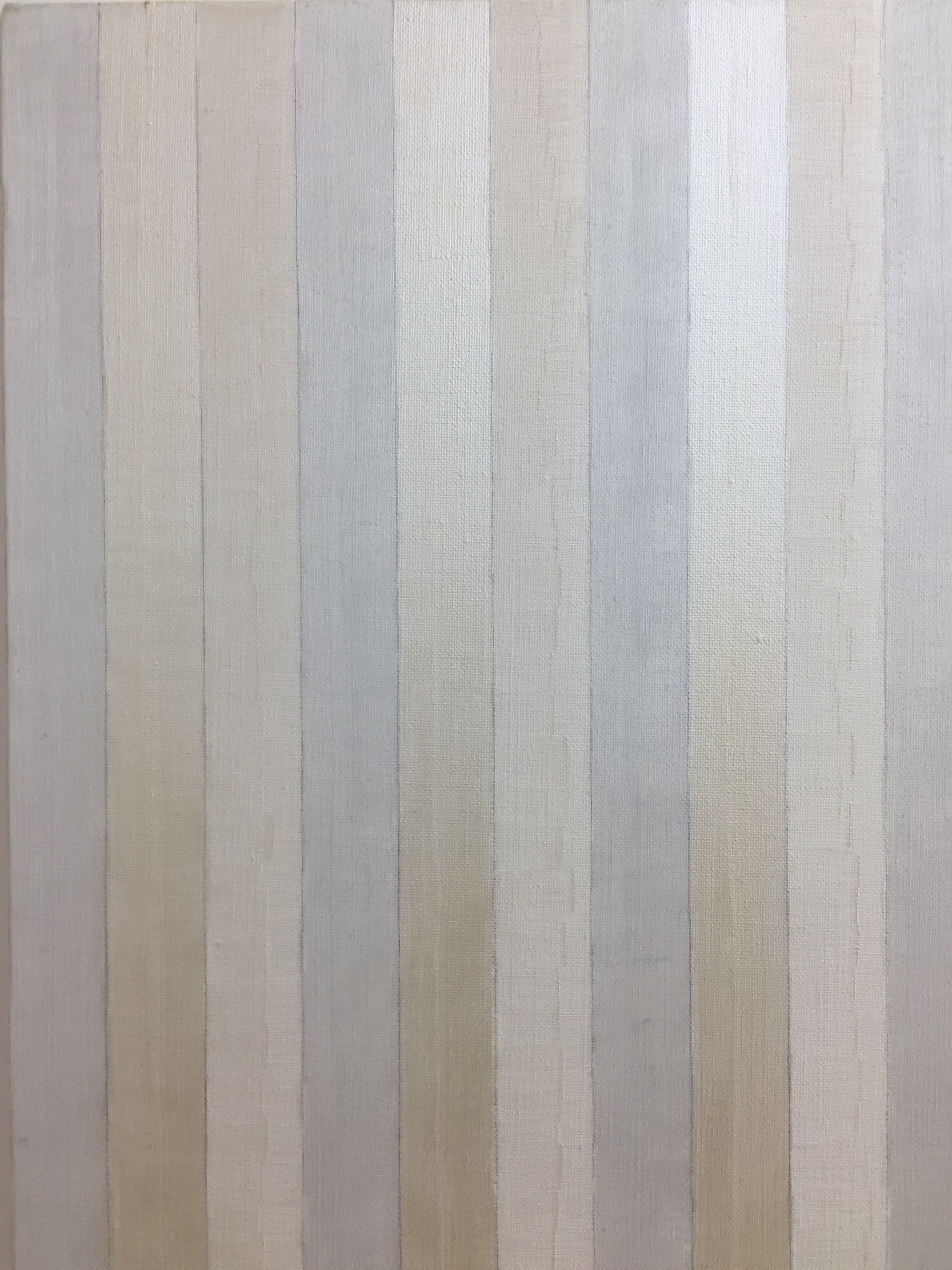   Pegan Brooke  is inspired by her natural and urban environments in Bolinas, San Francisco Bay Area and Ketchum, Idaho. Her paintings are intended to be parallel expositions of her video installations that explore the rhythmic patterns and the notio