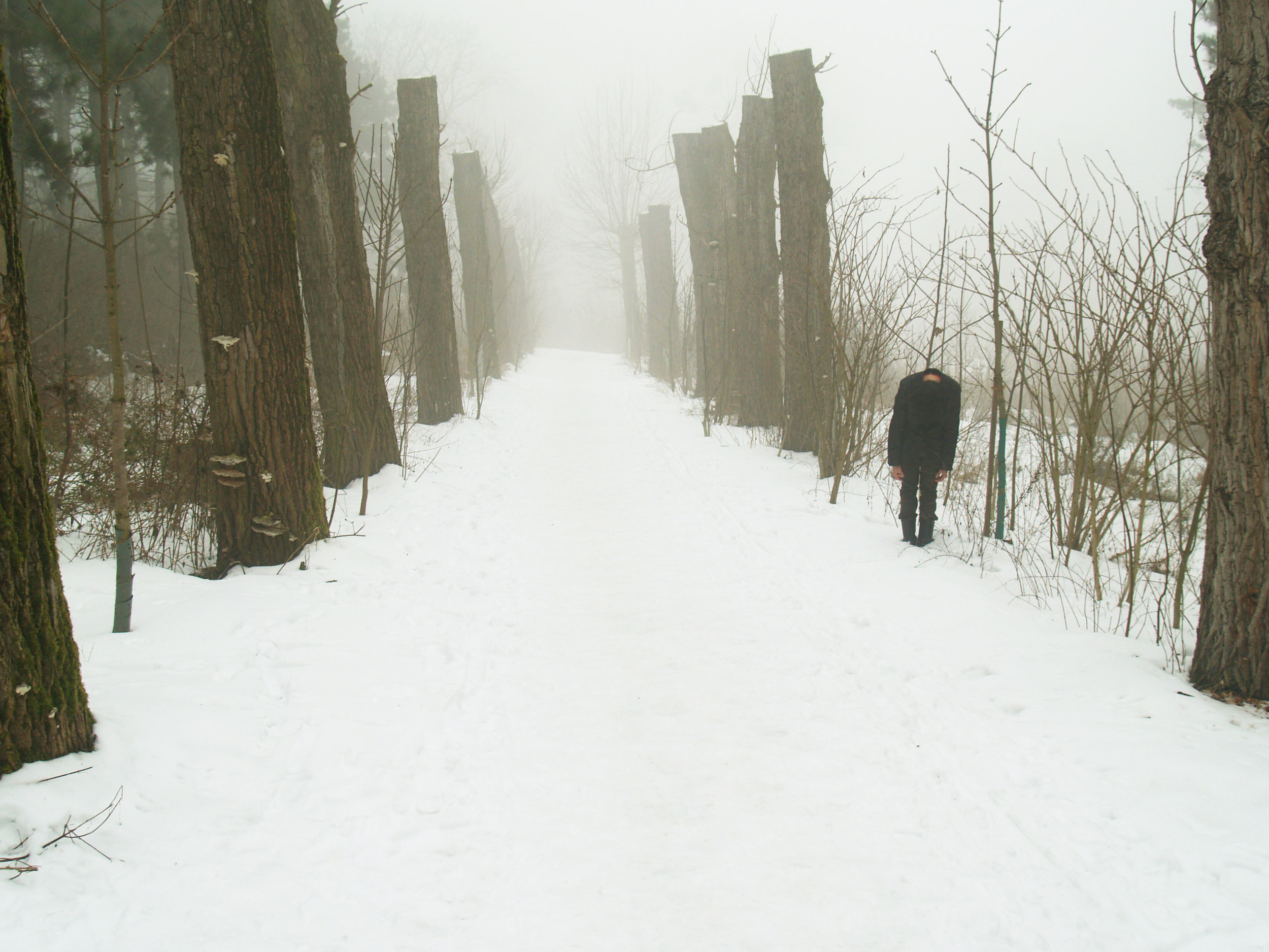 Michail Michailov, Untitled#12, Chromogenic on dibond, 36 x46 cm, edition of 7