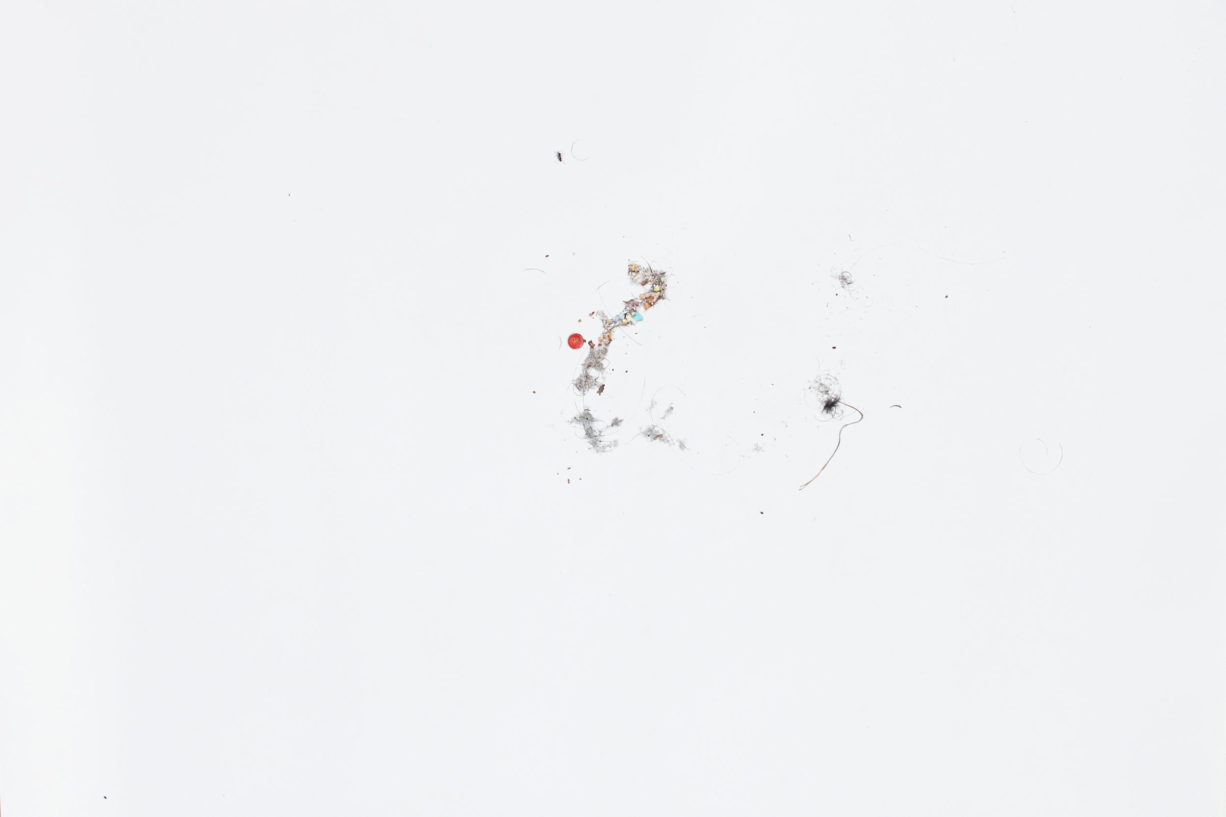dust to dust #17