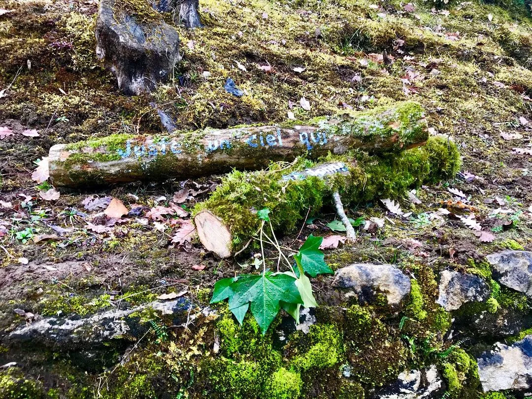 QUI ARROSE LA TERRE