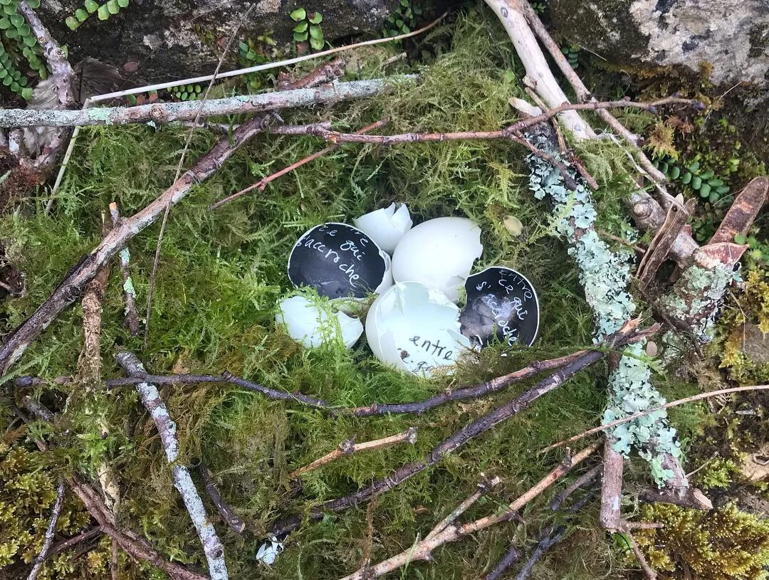 QUI ARROSE LA TERRE