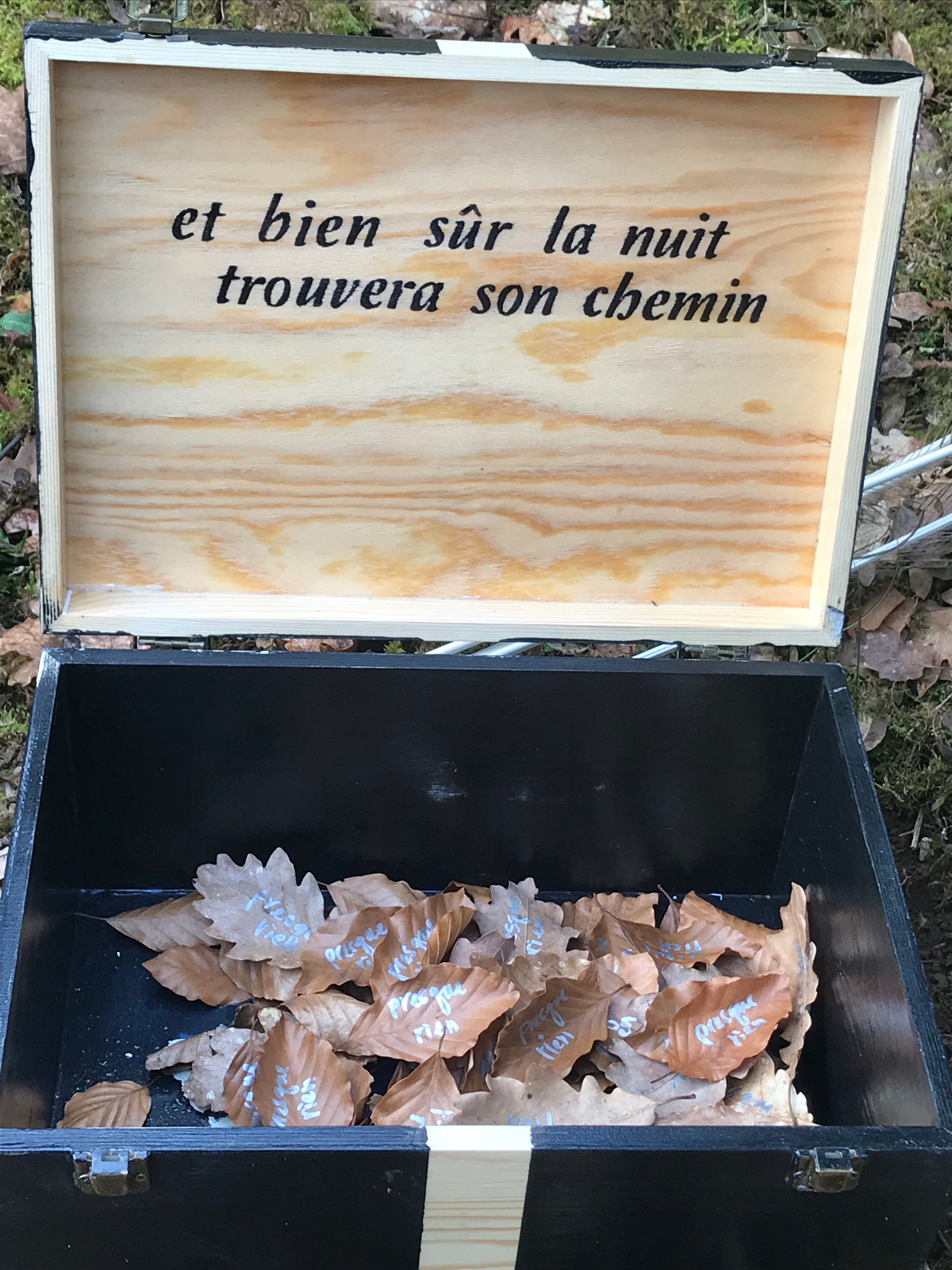 QUI ARROSE LA TERRE