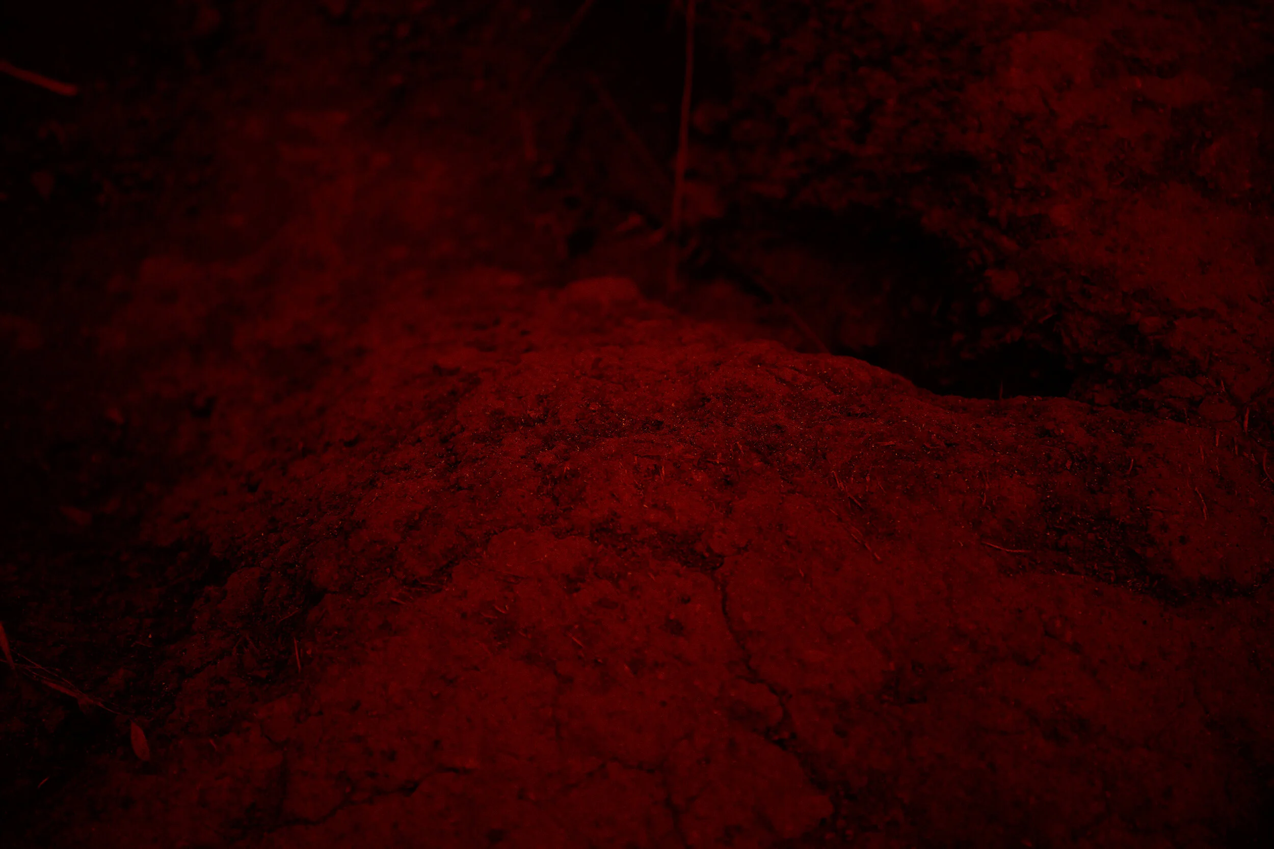 Red-Earth.jpg