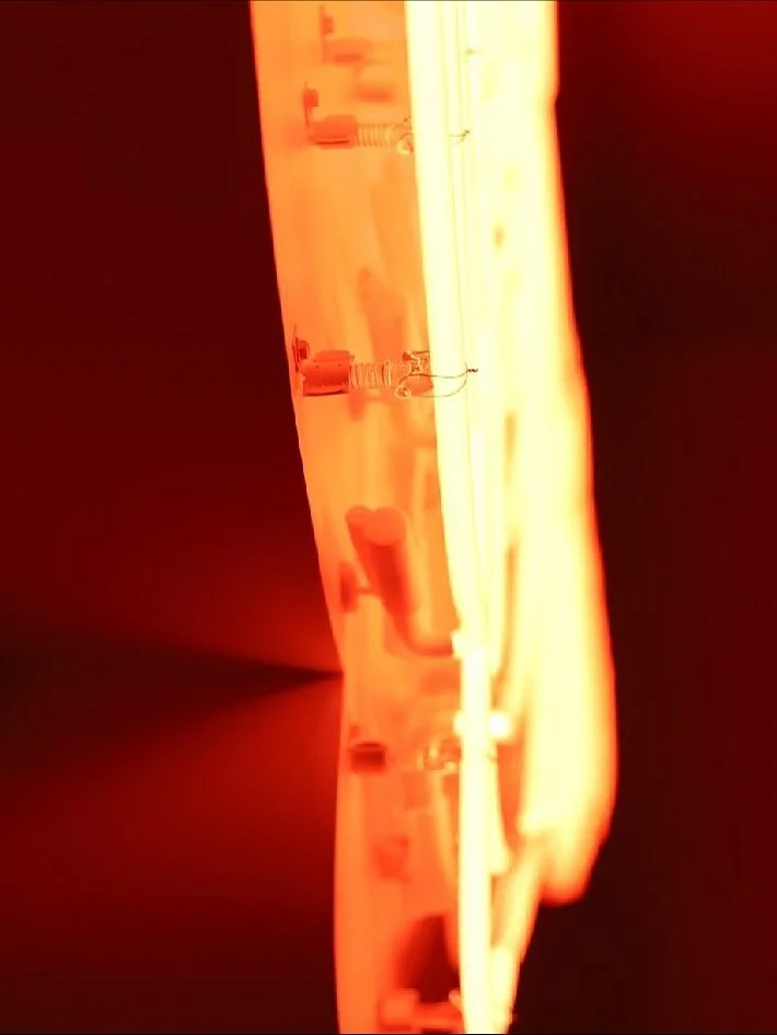 Out in the wild with @fatboykongkee 🌲🌲🦌. Gratitude to Jim &amp; Nate @neonwks and @dumbellsndragons 🌞💛