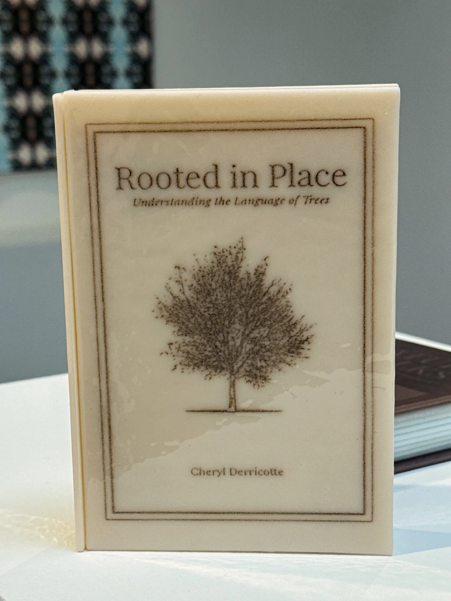 Join us tomorrow April 4 for @minnesotastreetproject First Saturday! ✨

Cheryl Derricotte will lead a walkthrough of her exhibition 𝘈 𝘊𝘰𝘯𝘴𝘪𝘥𝘦𝘳𝘢𝘵𝘪𝘰𝘯 𝘰𝘧 𝘛𝘳𝘦𝘦𝘴 at 5:30-6:30 PM at @re.riddle

Also, check out gallery openings at @nanc