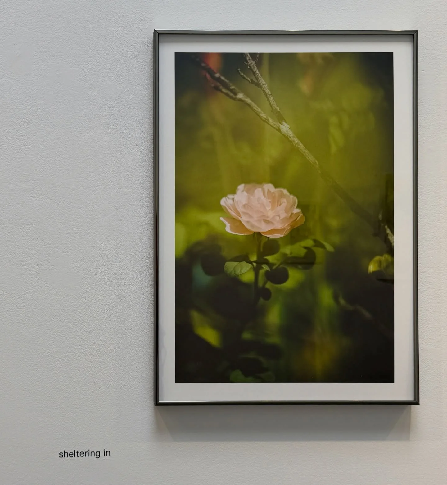 Adler Guerrier explores the temporal space of 𝘱𝘦𝘯𝘥𝘪𝘯𝘨, as a kind of spatial strata, one where everyday survival is posited as life long goal and the easy reach for forms of goodness.

Art discourse readily addresses beauty, sublimity, truth, a
