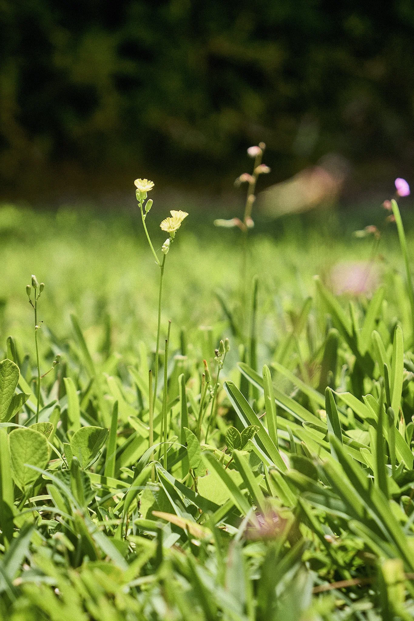 AG2026_1222184a.jpg