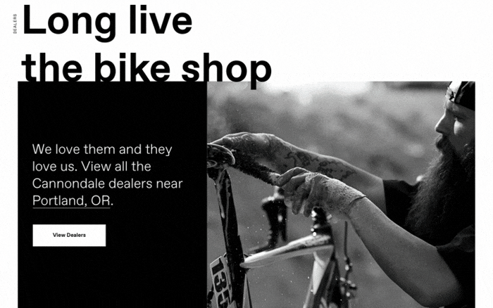 Cannondale_MotionTest_CSA_02_A_2.gif