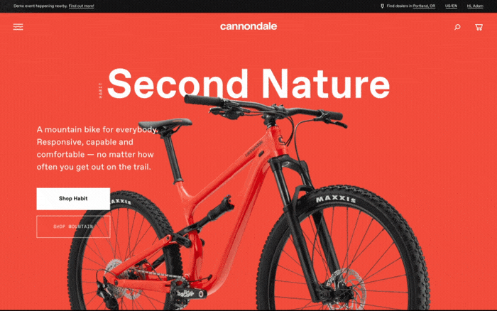 Cannondale_MotionTest_CSA_02_A_1.gif