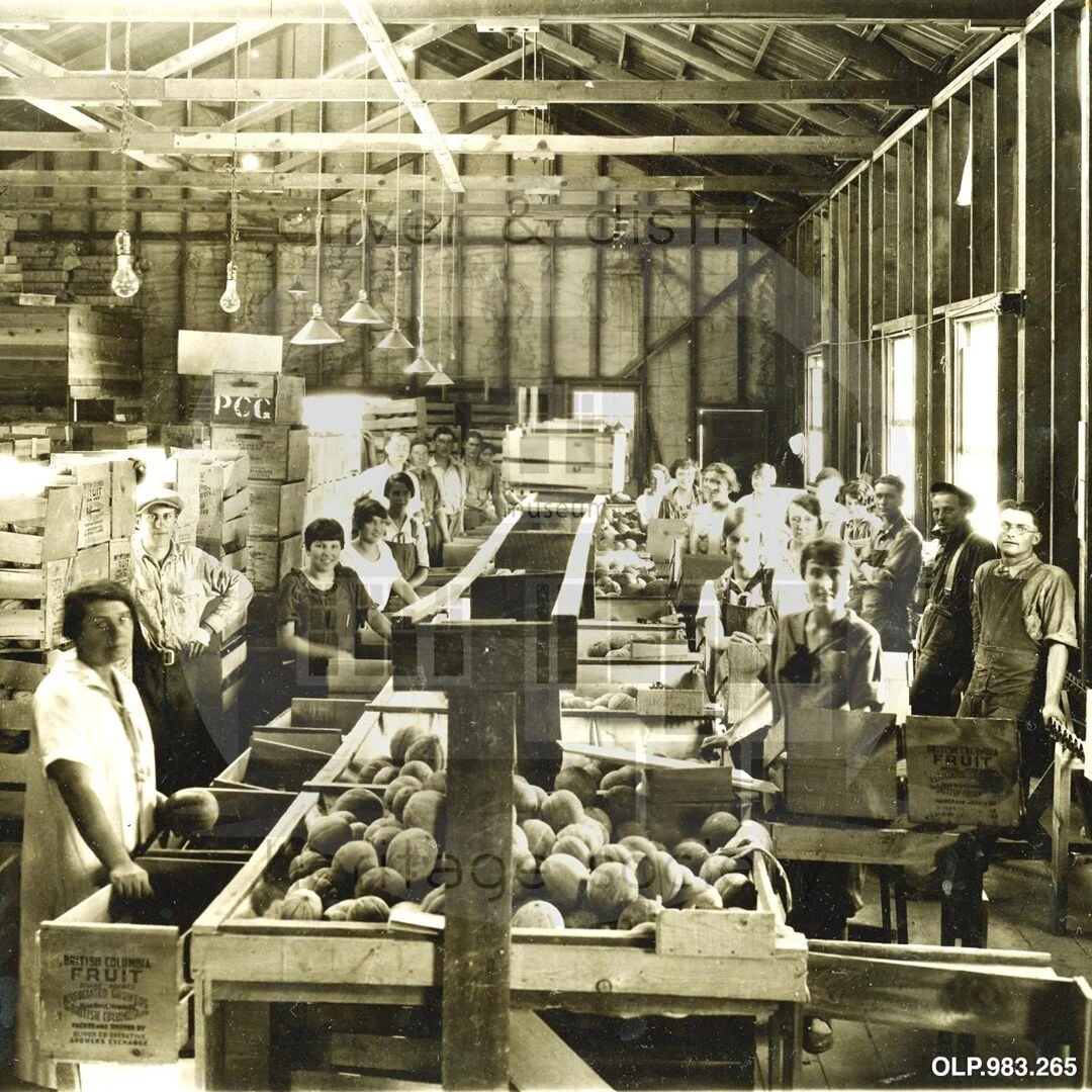 How can we kick off this month&rsquo;s prompt &ldquo;Business&rdquo; without talking about the industry that helped Oliver grow into what it is today: agriculture. Working alongside farmers and orchardists, packing houses, such as the Oliver Co-op se