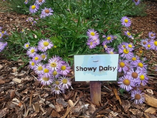 Still seeking a Gardening Volunteer. No watering required. Must be able to work kneeling or bending for long periods. 

Choose your own hours. Honorarium of $100/season.

Please call Julianna at 250-498-4027.