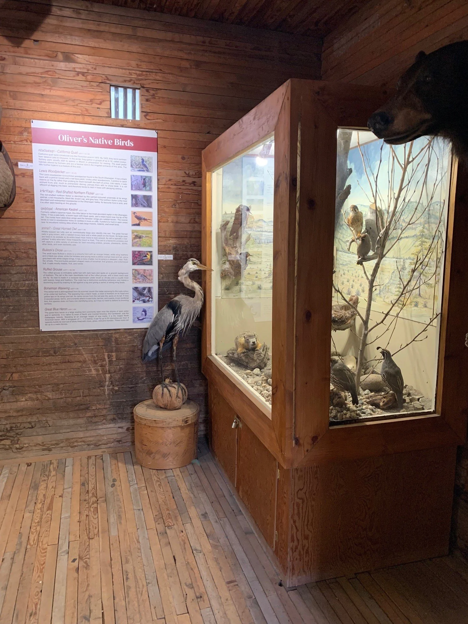 Exhibitions