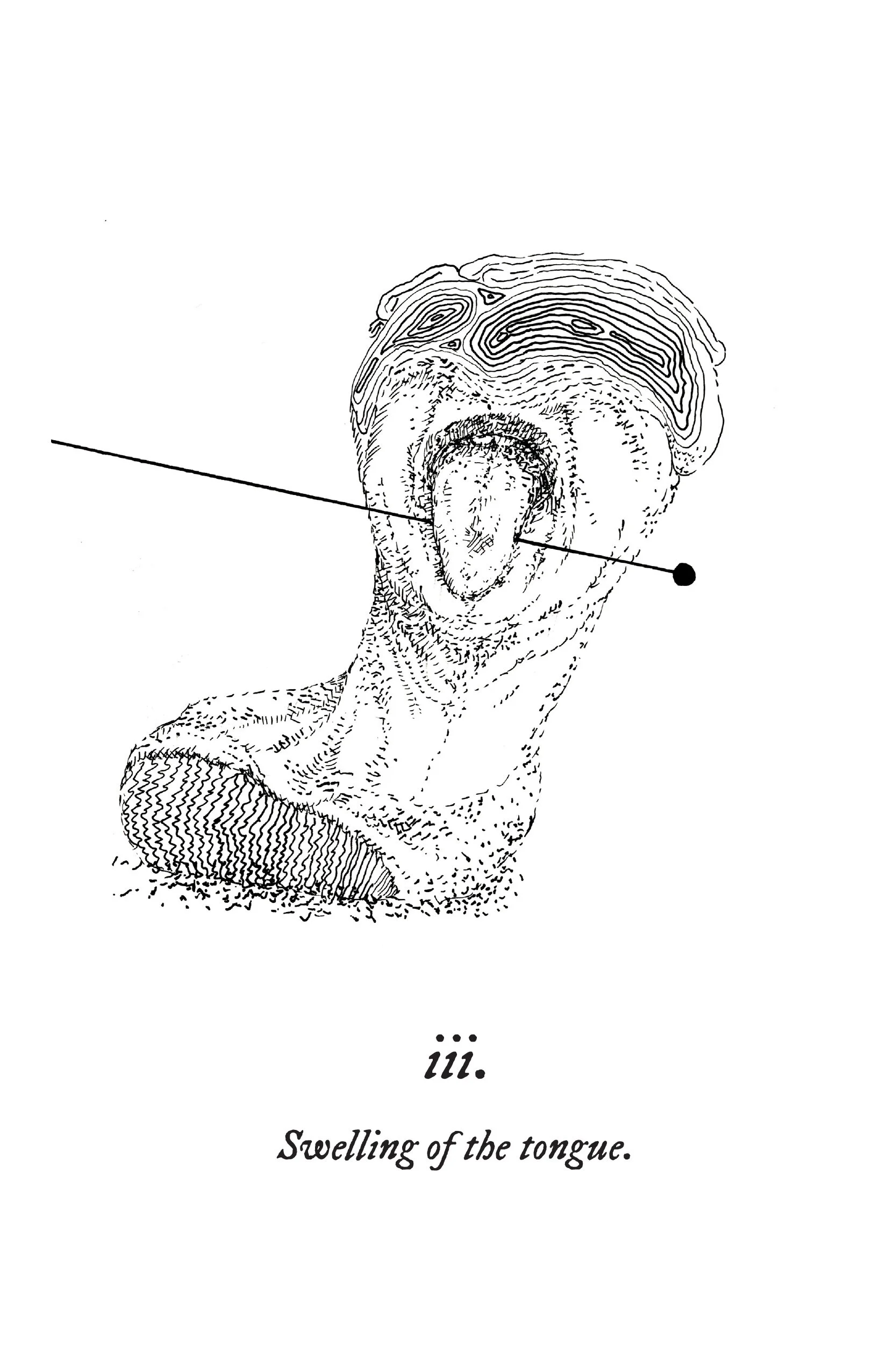 Anatomia_Page3.jpg