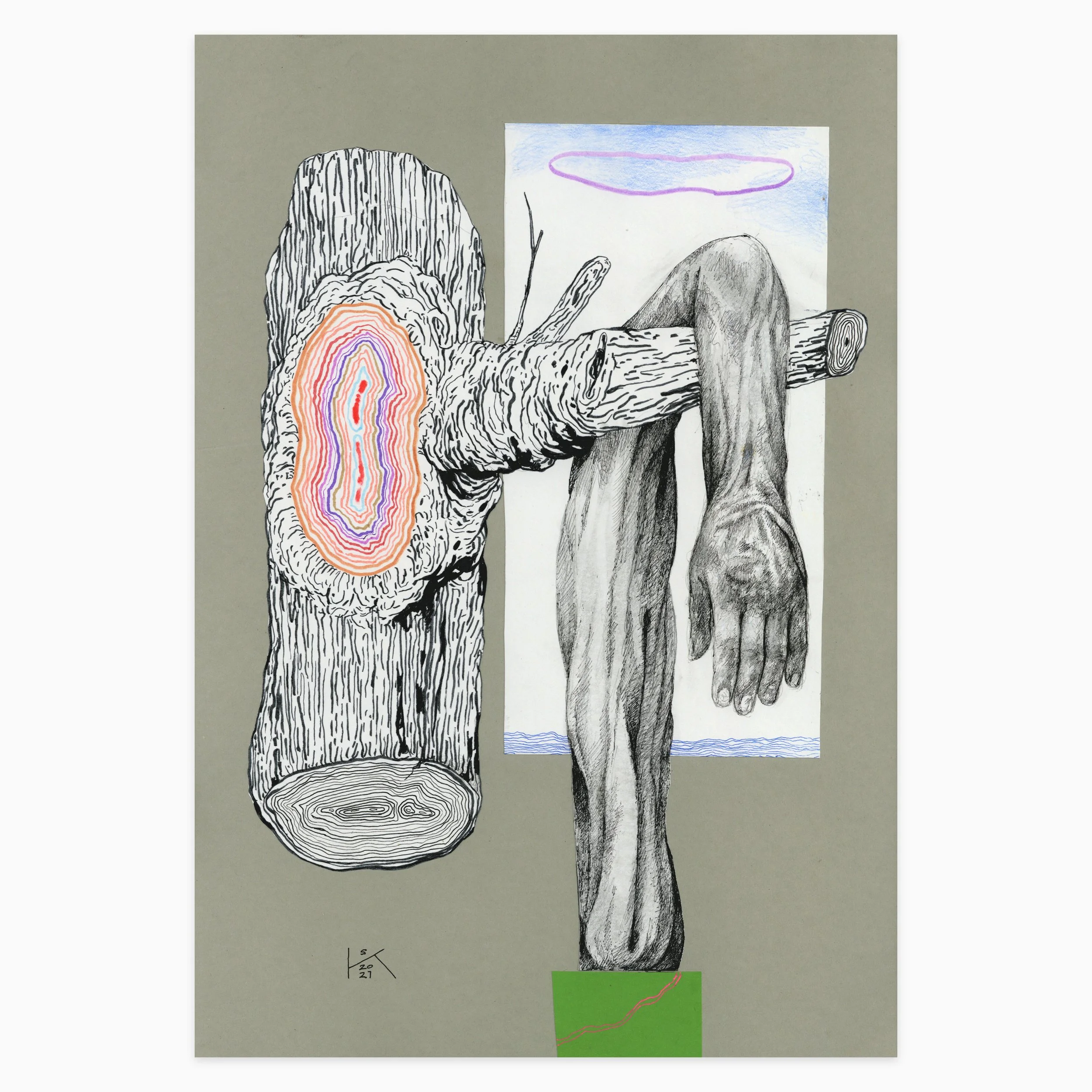Limbs-1.jpg