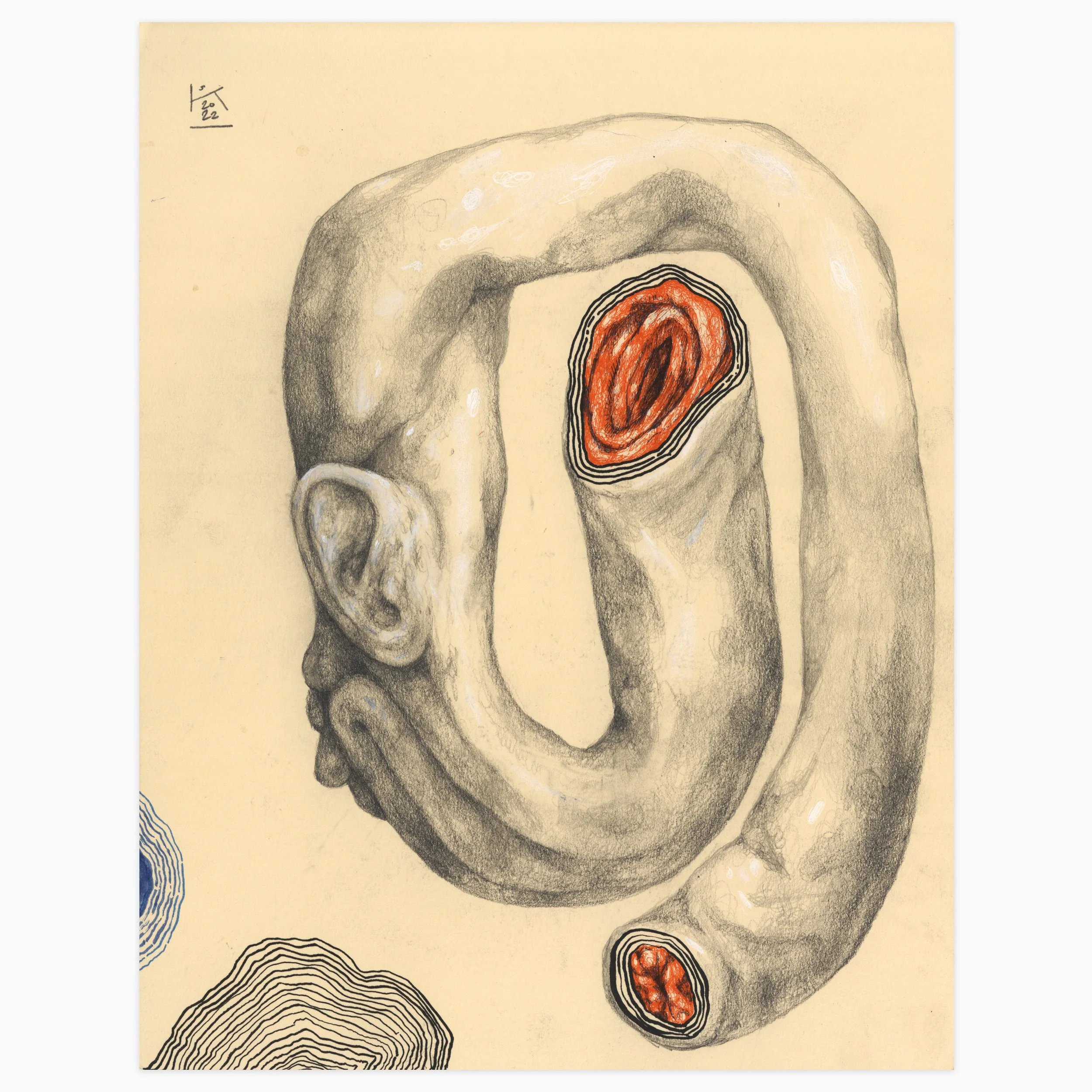 Sausage Head by Steven Ketchum