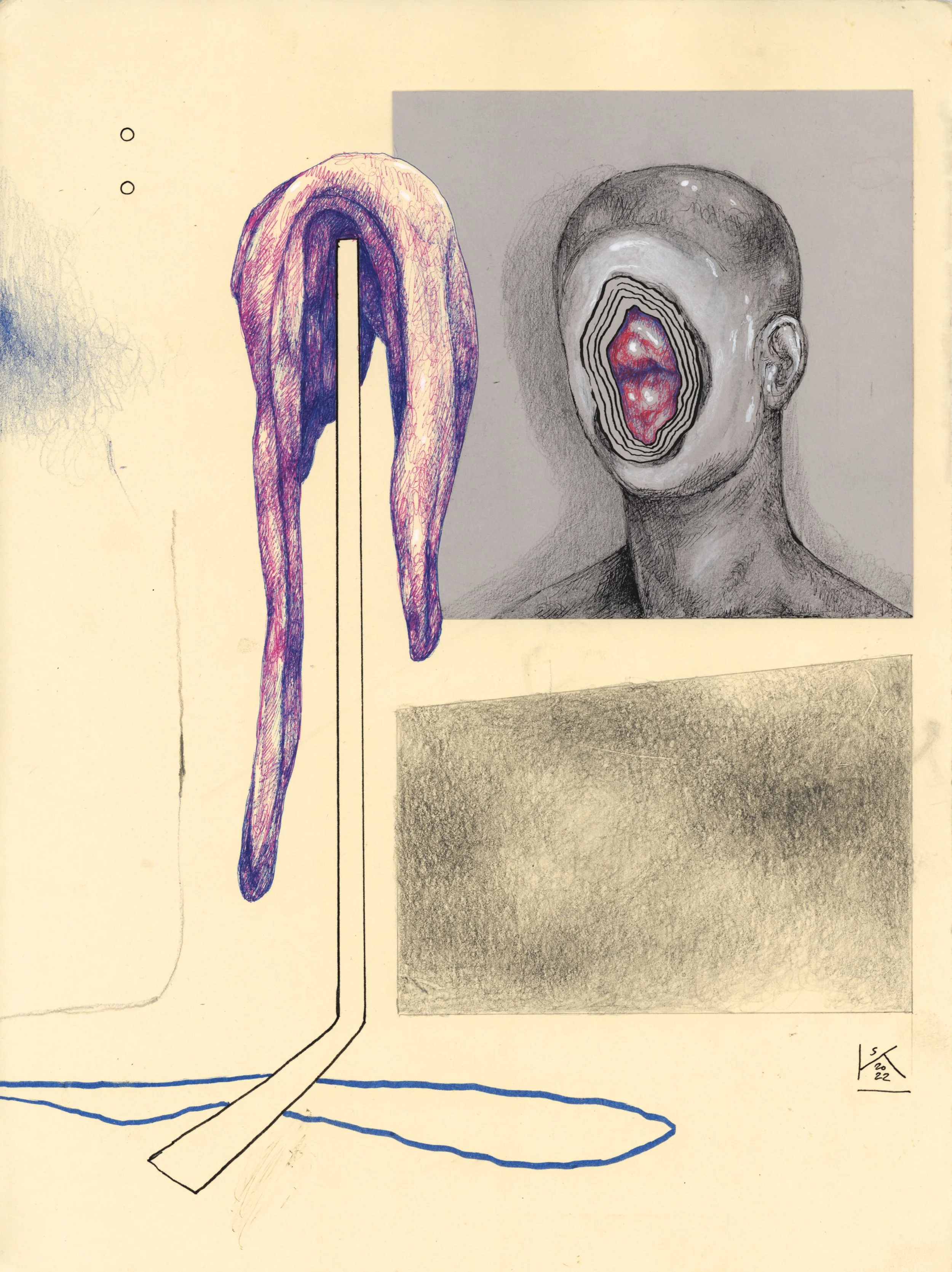 Room with Skin Hanging by Steven Ketchum