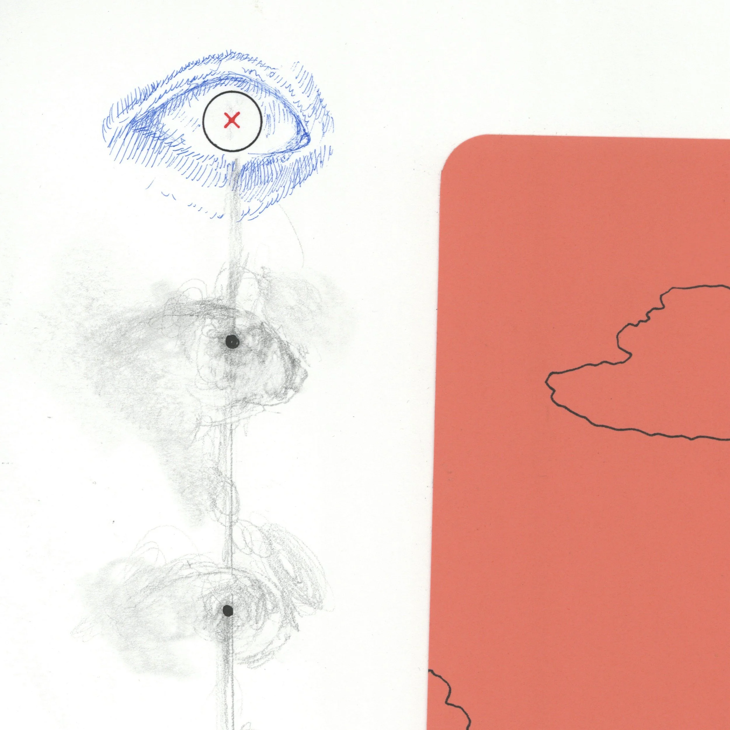 EyeTracker_2025_02.jpg