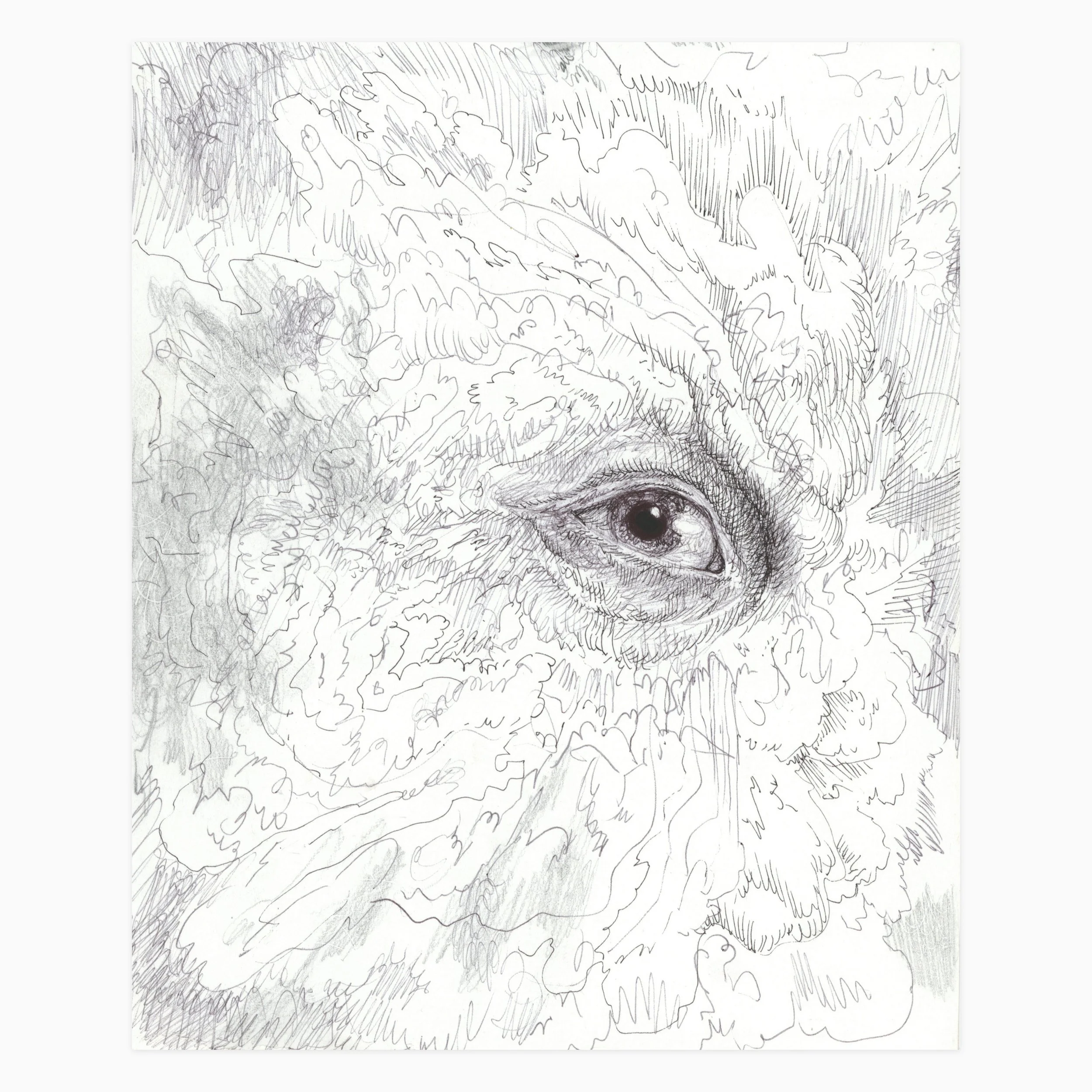 SketchStudy-EyeBomb_00_2026_StevenKetchun.jpg