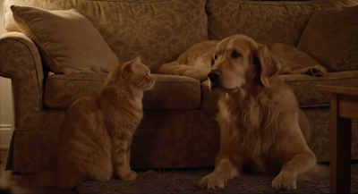 Screen Shot 2025-08-24 at 11.39.39 AM.png