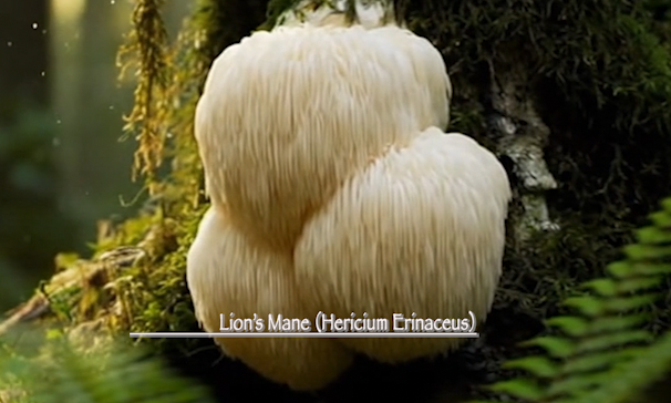 Screen Shot 2025-10-15 at 10.06.35 AM.png